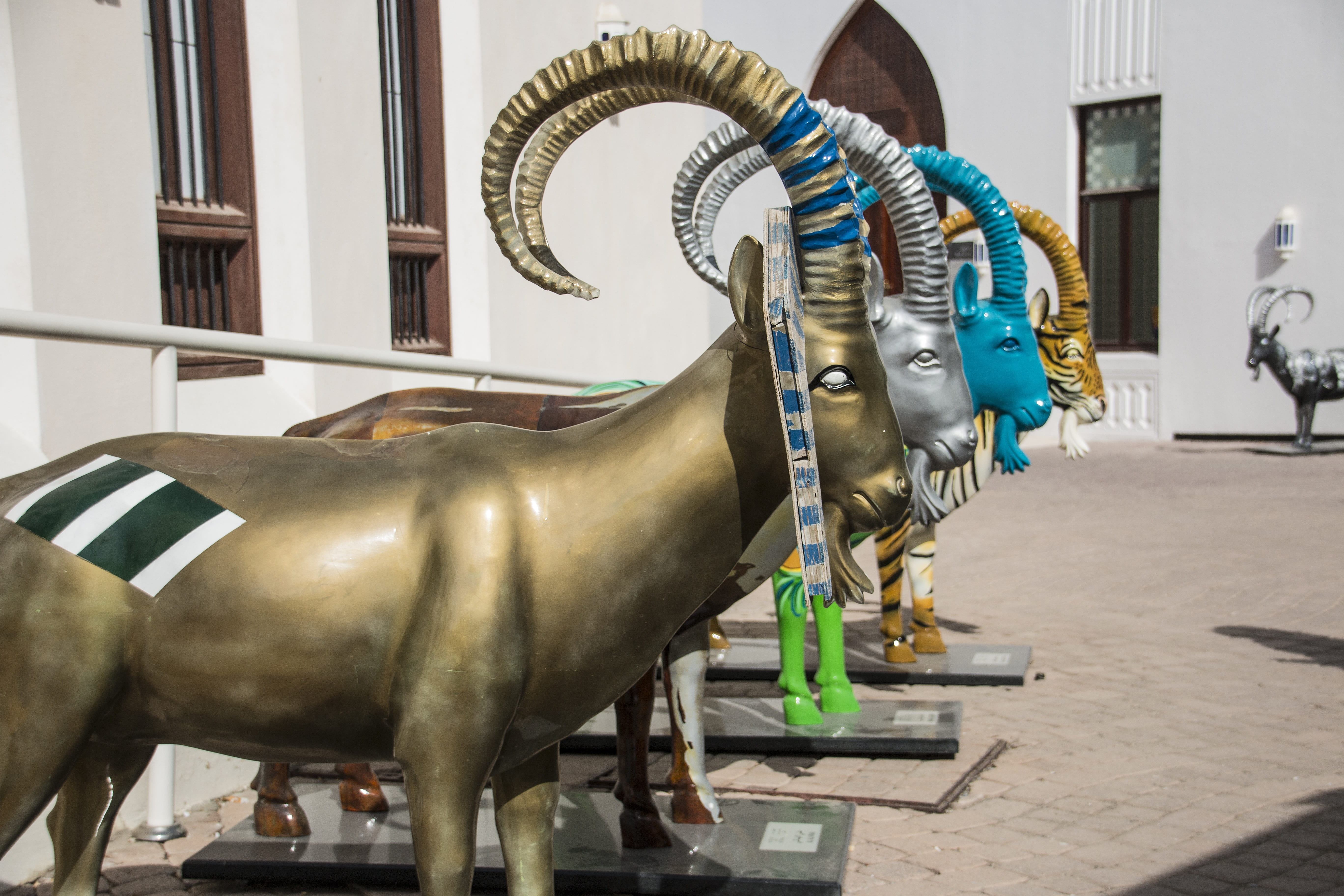 day, livestock, muscat, oman, mammal, architecture, herbivorous, built structure, animal themes, vertebrate, vacation, museum, pets, domestic animals, outdoors, HD Wallpaper