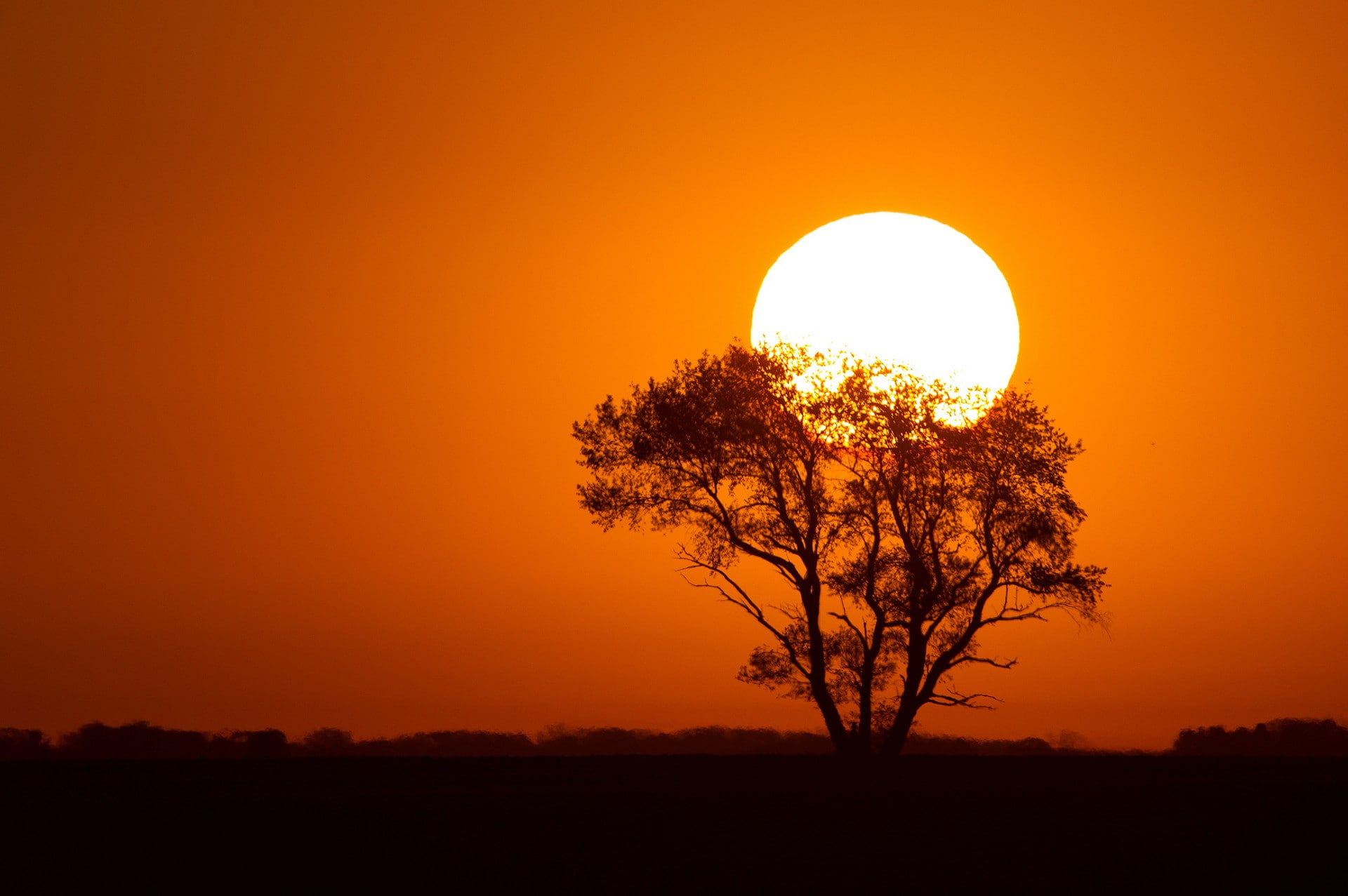 sunset, landscape, orange sky, 1080P, trees, silhouette, Sun, HD Wallpaper