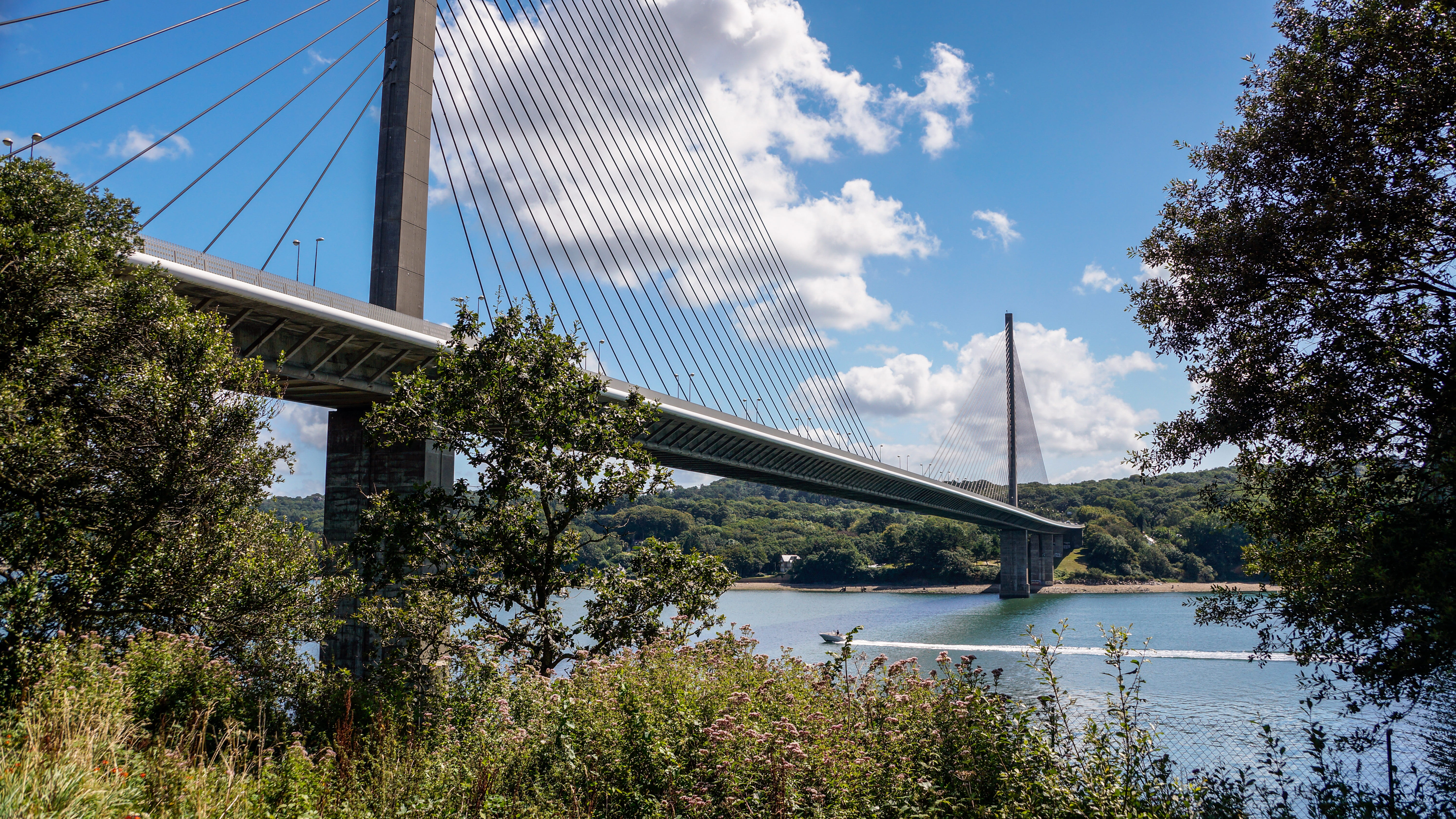 bridge - man made structure, reflection, city, suspension bridge, office building exterior, water, sky, plant, suspension, day, river, architecture, built structure, HD Wallpaper