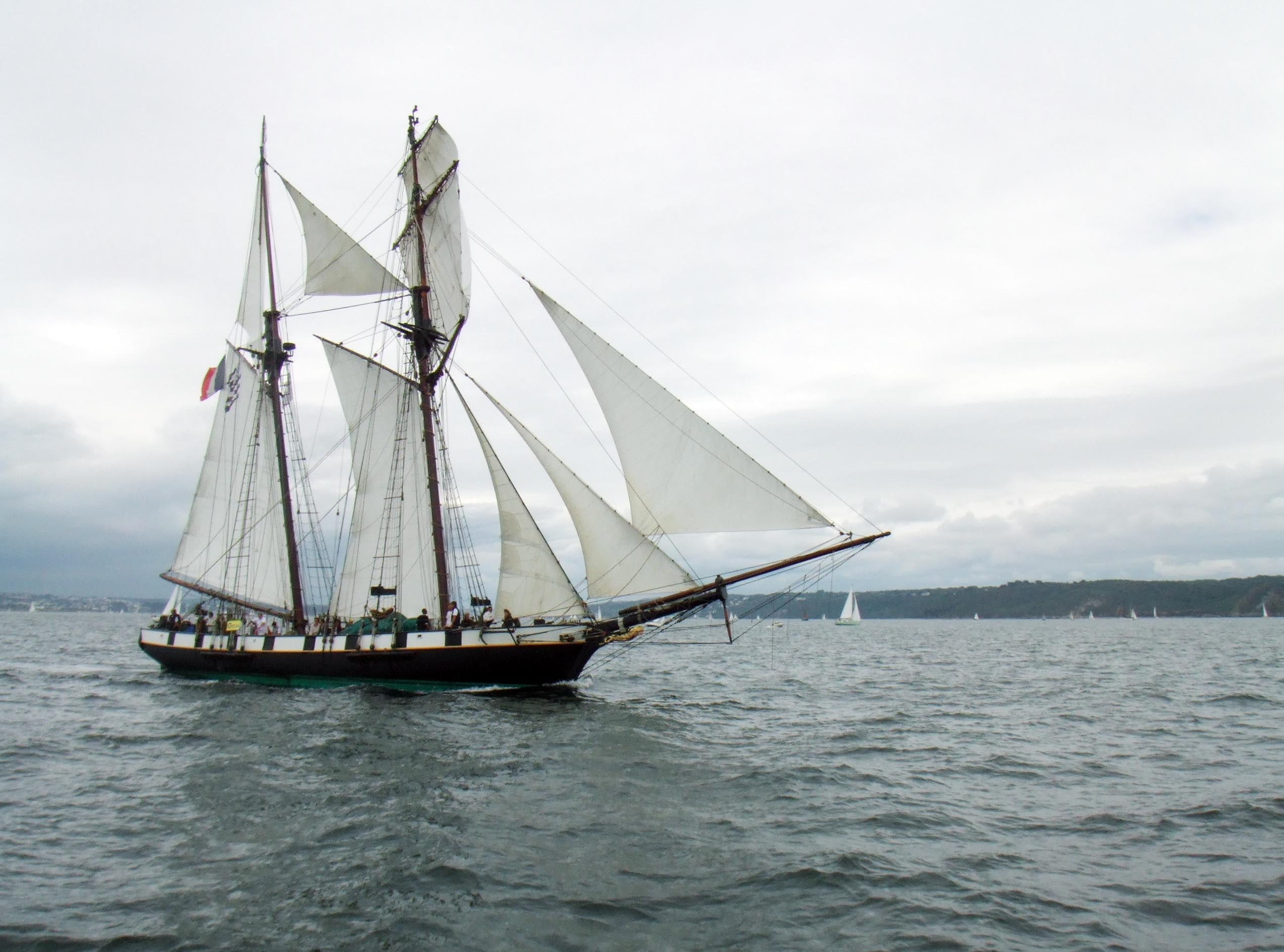 sailboat, mode of transportation, sail, brest, beauty in nature, sailing Ship, 1080P, travel, regatta, day, nautical Vessel, mast, sailing, former, outdoors, HD Wallpaper