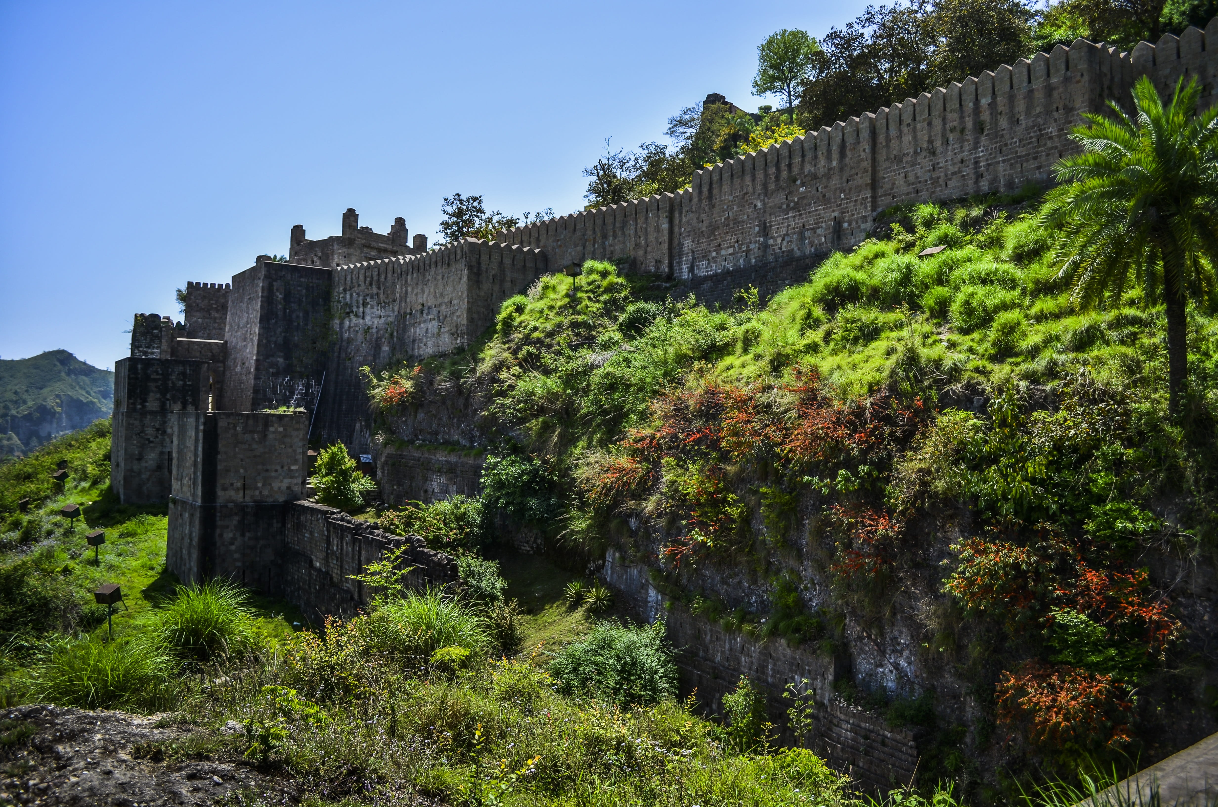 asia, 4K, green, landscape, tourism, palace, outdoors, travel, tree, nature, wall, history, sky, landmark, sunny, indian, building, green color, travel destinations, HD Wallpaper