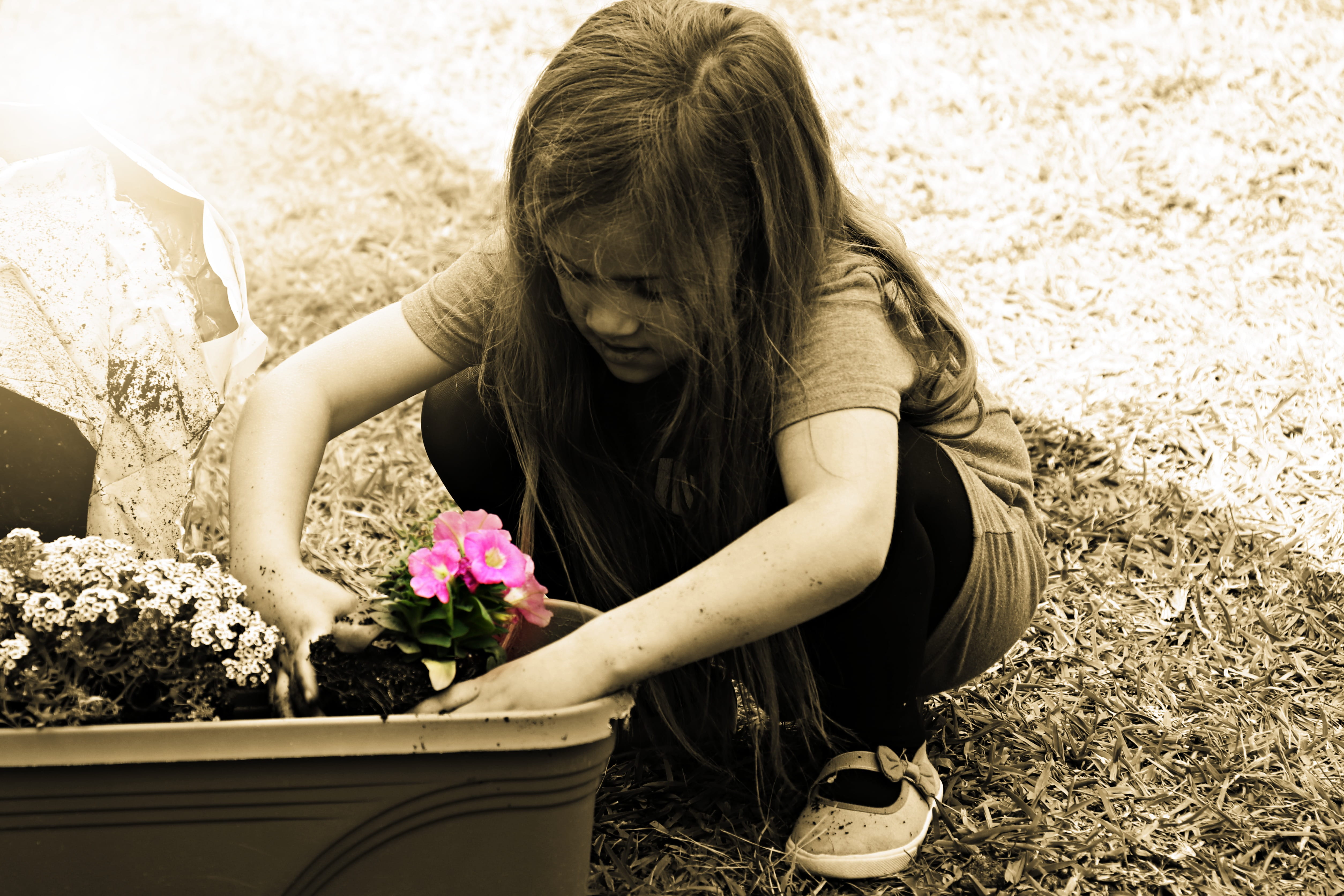 flower, childhood, gardening, planting, flower pot, united states, plant, women, one person, day, lifestyles, fort worth, 4K, child, hairstyle, innocence, HD Wallpaper