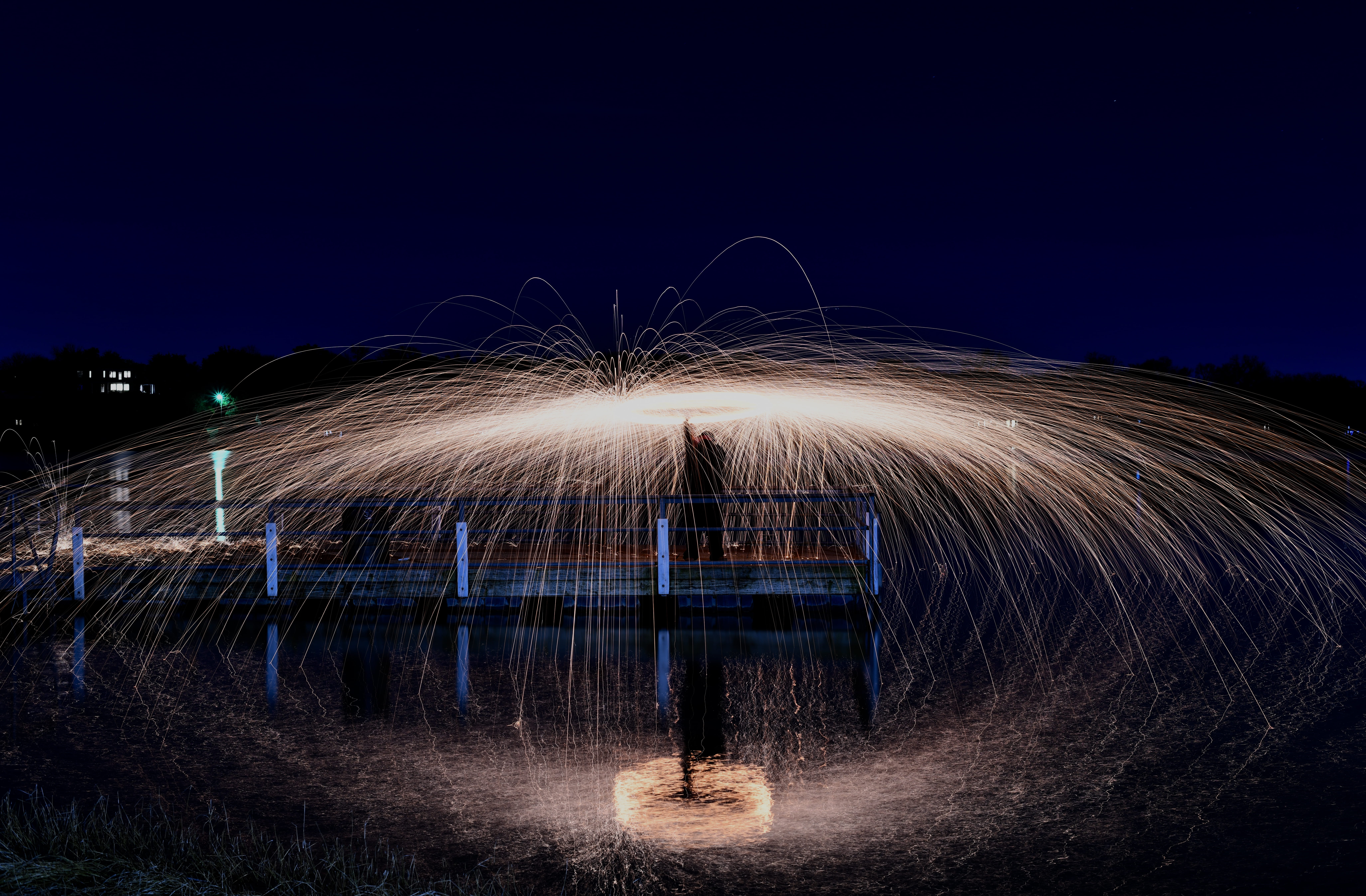 fort worth, animal, mammal, 8K, circle, one person, blossom, pet, arts culture and entertainment, light trail, fern, geometric shape, speed, glowing, fountain, HD Wallpaper