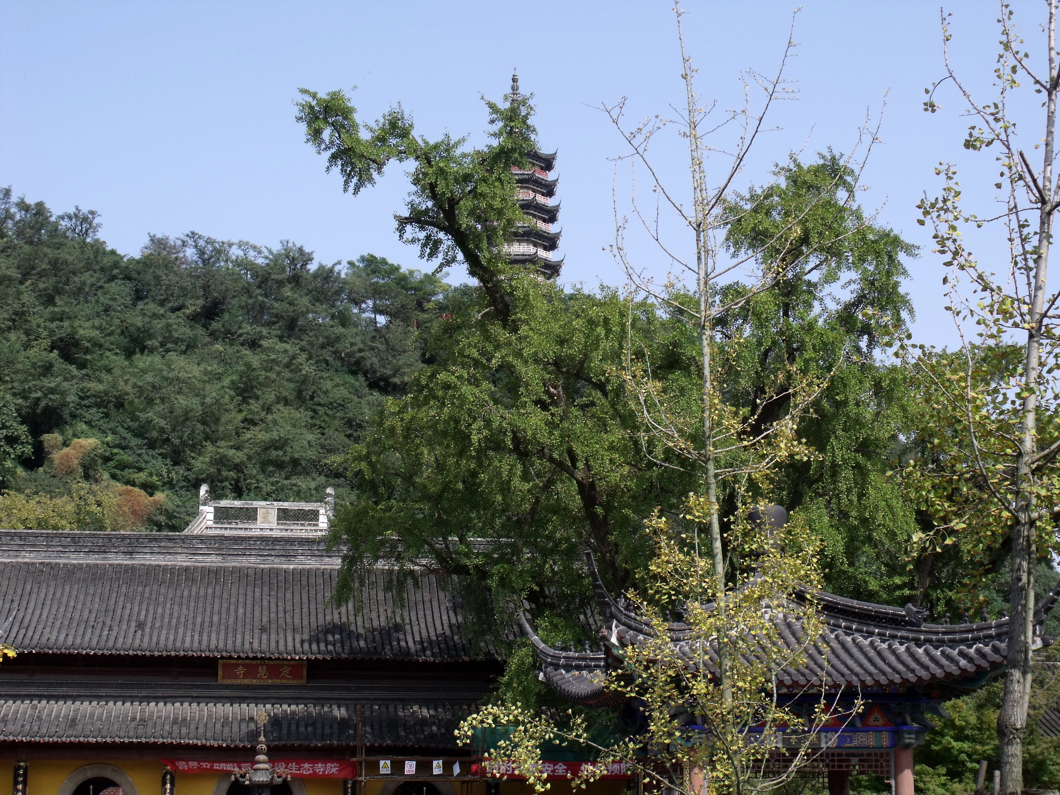 built structure, Tower, history, beauty in nature, building exterior, buildin, outdoors, tranquility, roof, buddhism, religion, plant, place of worship, HD Wallpaper