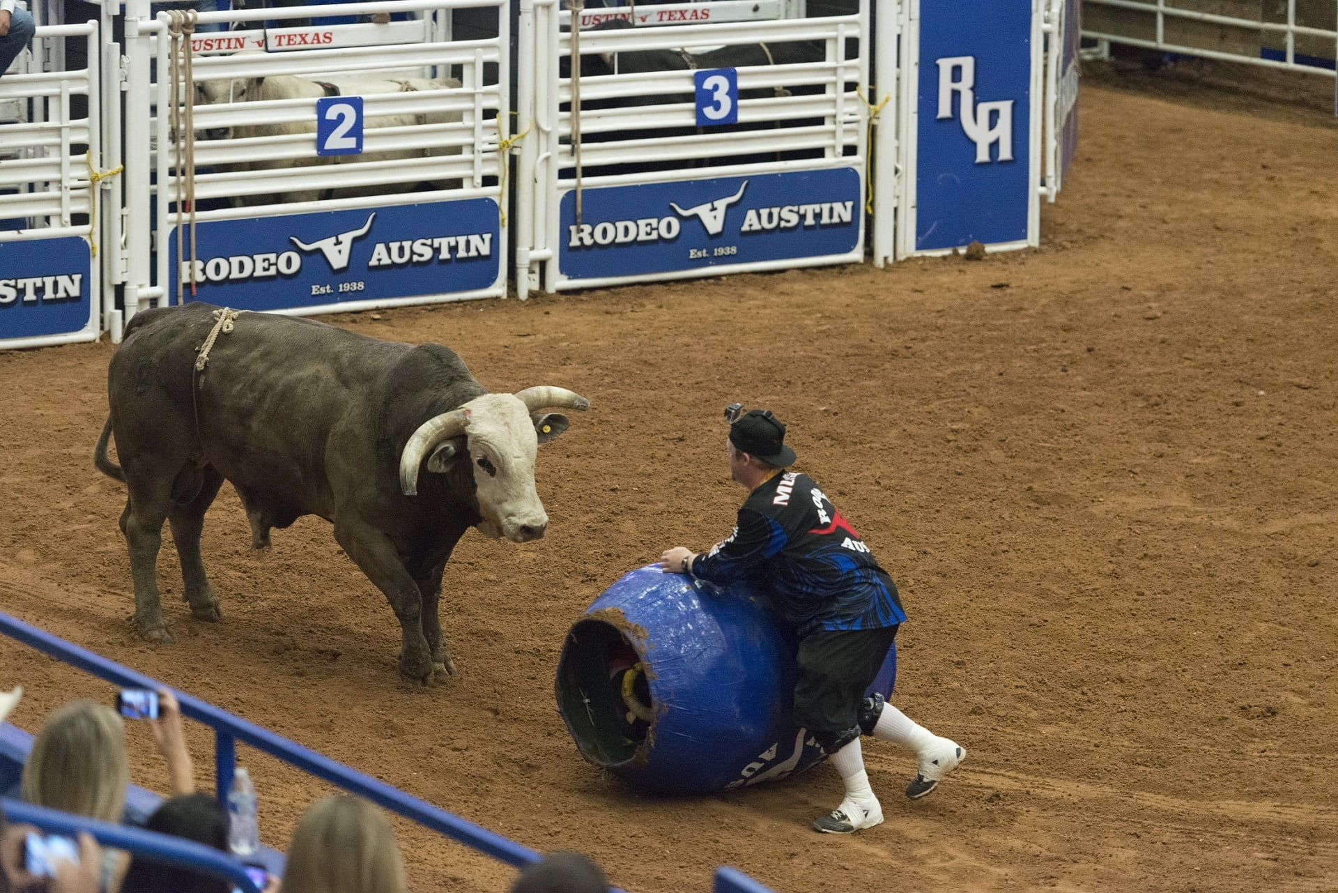 mammal, competition, man, bull, barrel, cowboys, sign, real people, icon, dangerous, clown, outdoors, pets, arena, sport, danger, usa, communication, day, HD Wallpaper