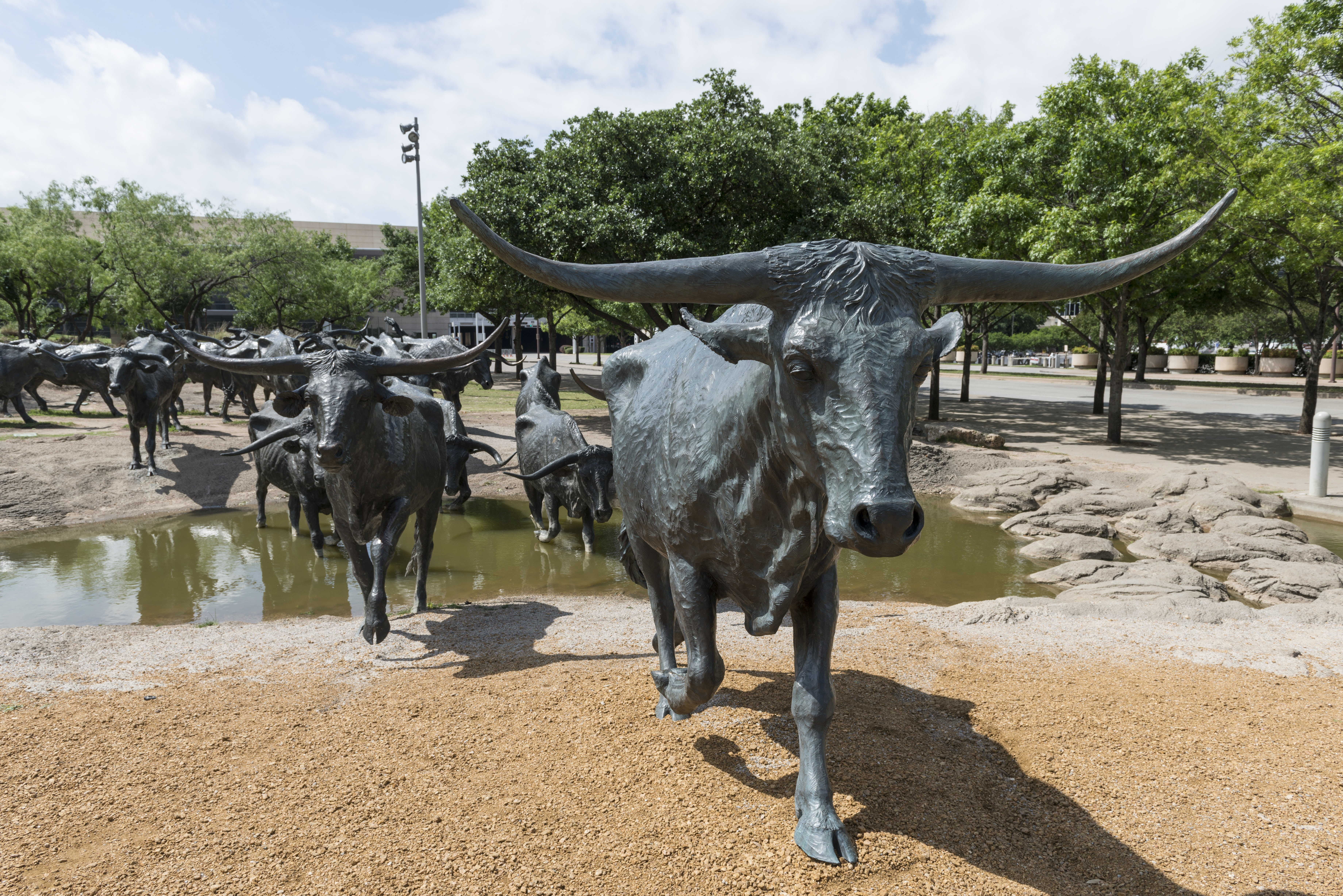 outdoors, statues, cattle, pets, cloud - sky, mammal, 5K, vertebrate, symbol, animal wildlife, bronze, sky, animal, land, domestic, tree, day, drive, herbivorous, HD Wallpaper