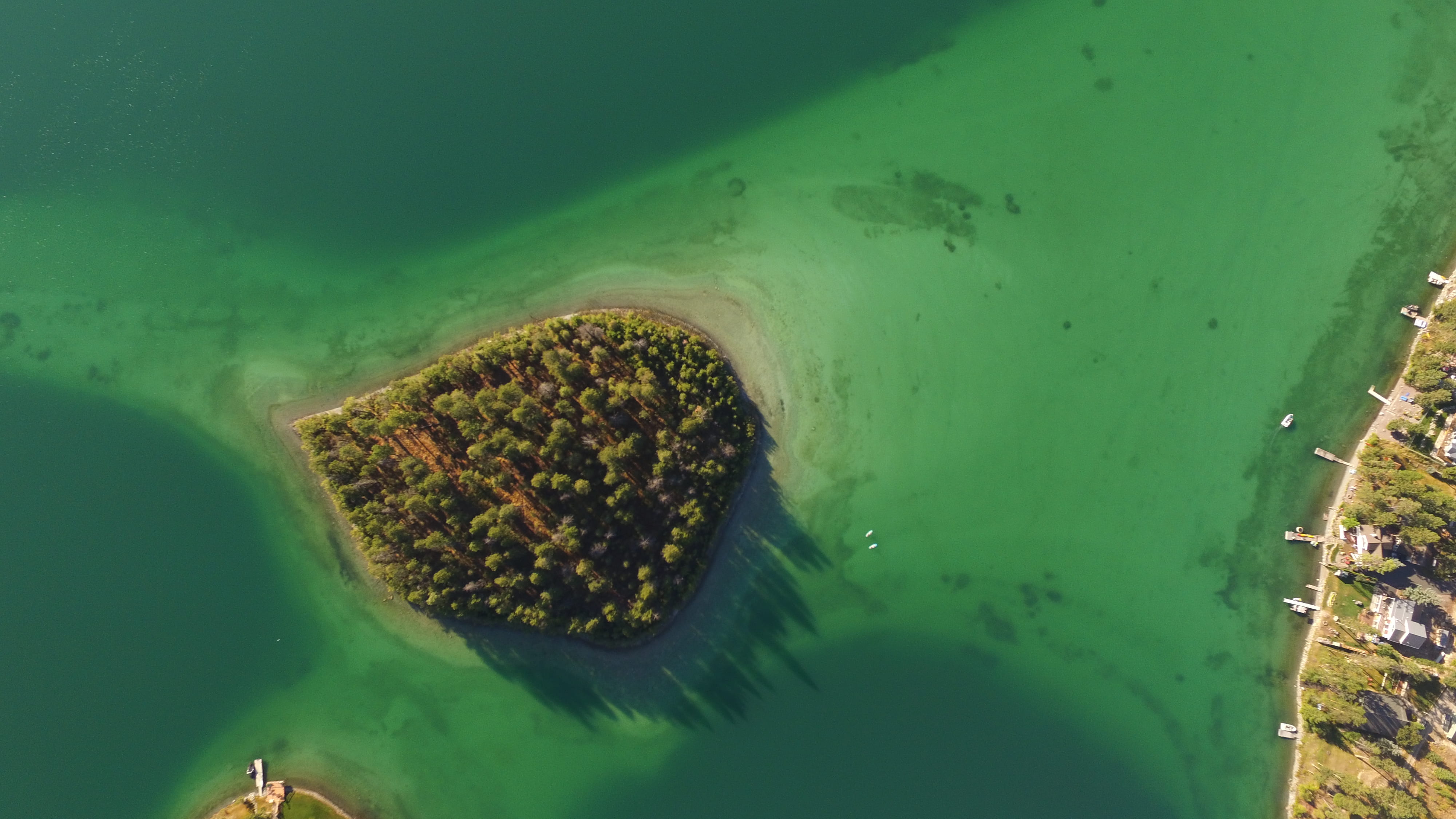 plant, aerial view, green, shadow, sea life, outdoors, 4K, forest, animal, day, turquoise colored, paddle board, no people, tree, nature, jetty, undersea, HD Wallpaper