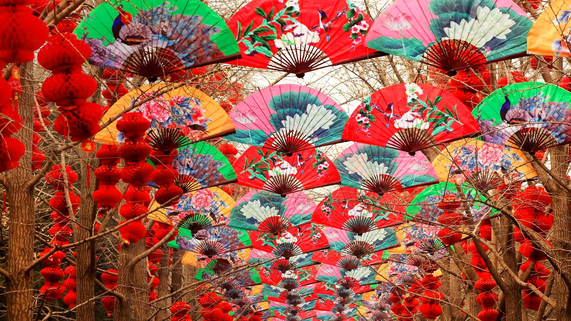 1080P, trees, Temple Of Heaven, China, Spring festival, lanterns, Beijing, fan, HD Wallpaper