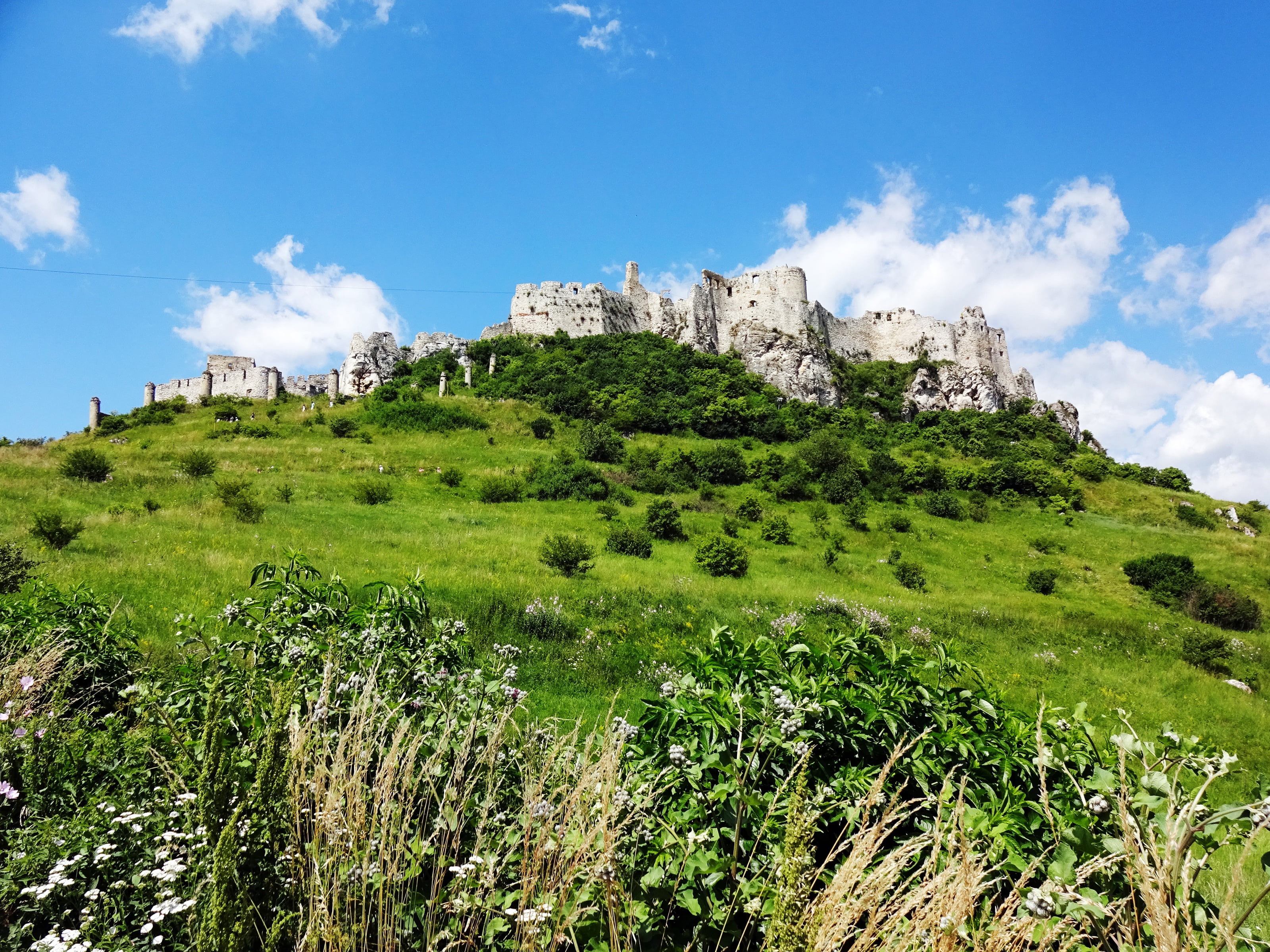 no people, the past, built structure, beauty in nature, castle, growth, ancient civilization, walls, tree, day, travel destinations, outdoors, plant, green color, HD Wallpaper