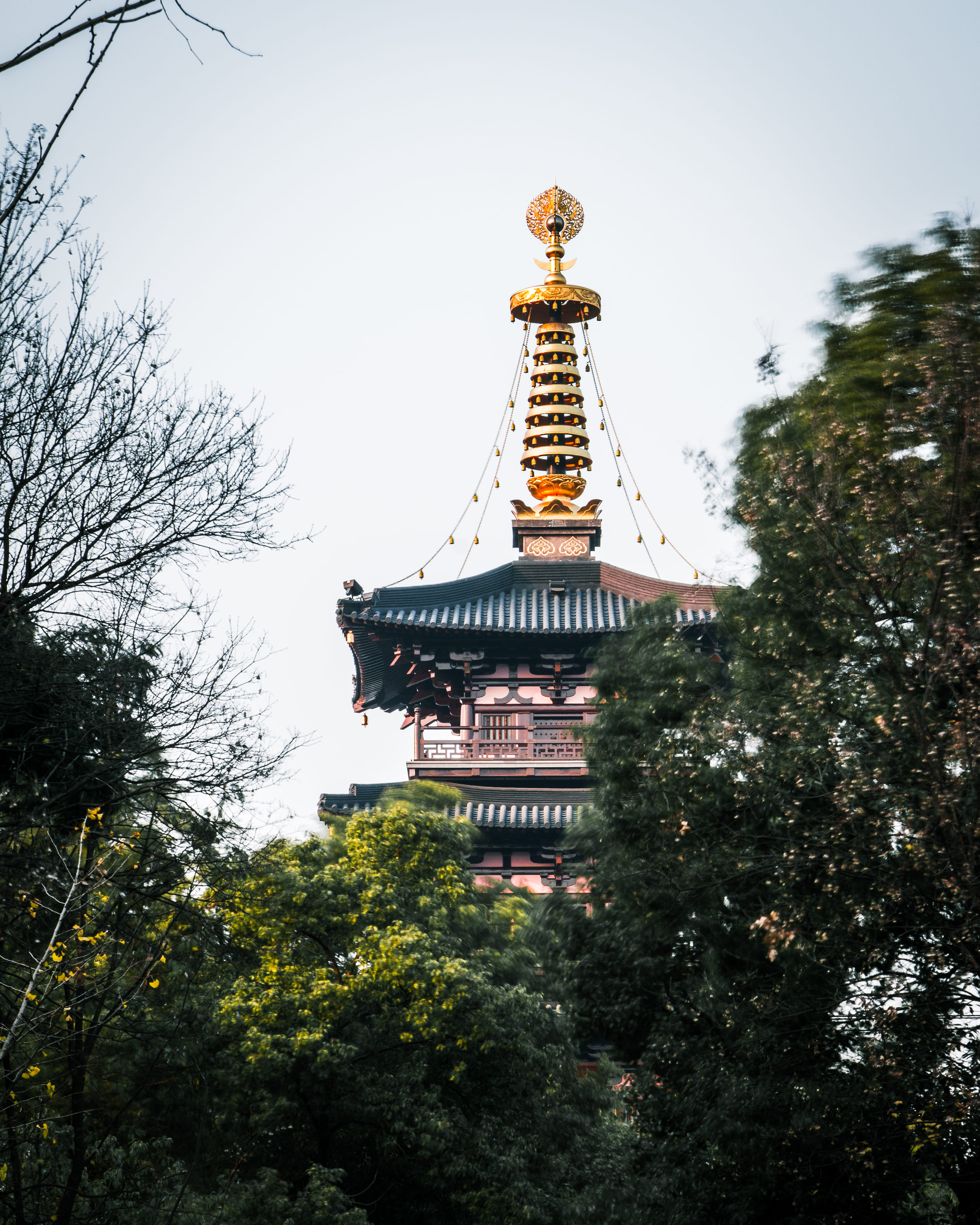 sky, tree, growth, spirituality, plant, low angle view, outdoors, leafe, spire, traditional, 4K, temple, day, built structure, nature, cloud, china, belief, Phone HD Wallpaper