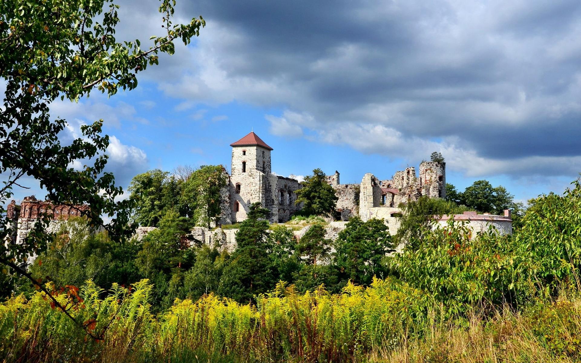 castle, summer, brown, world, 1920x1200, grey, concrete, 1080P, cloud, ruins, HD Wallpaper