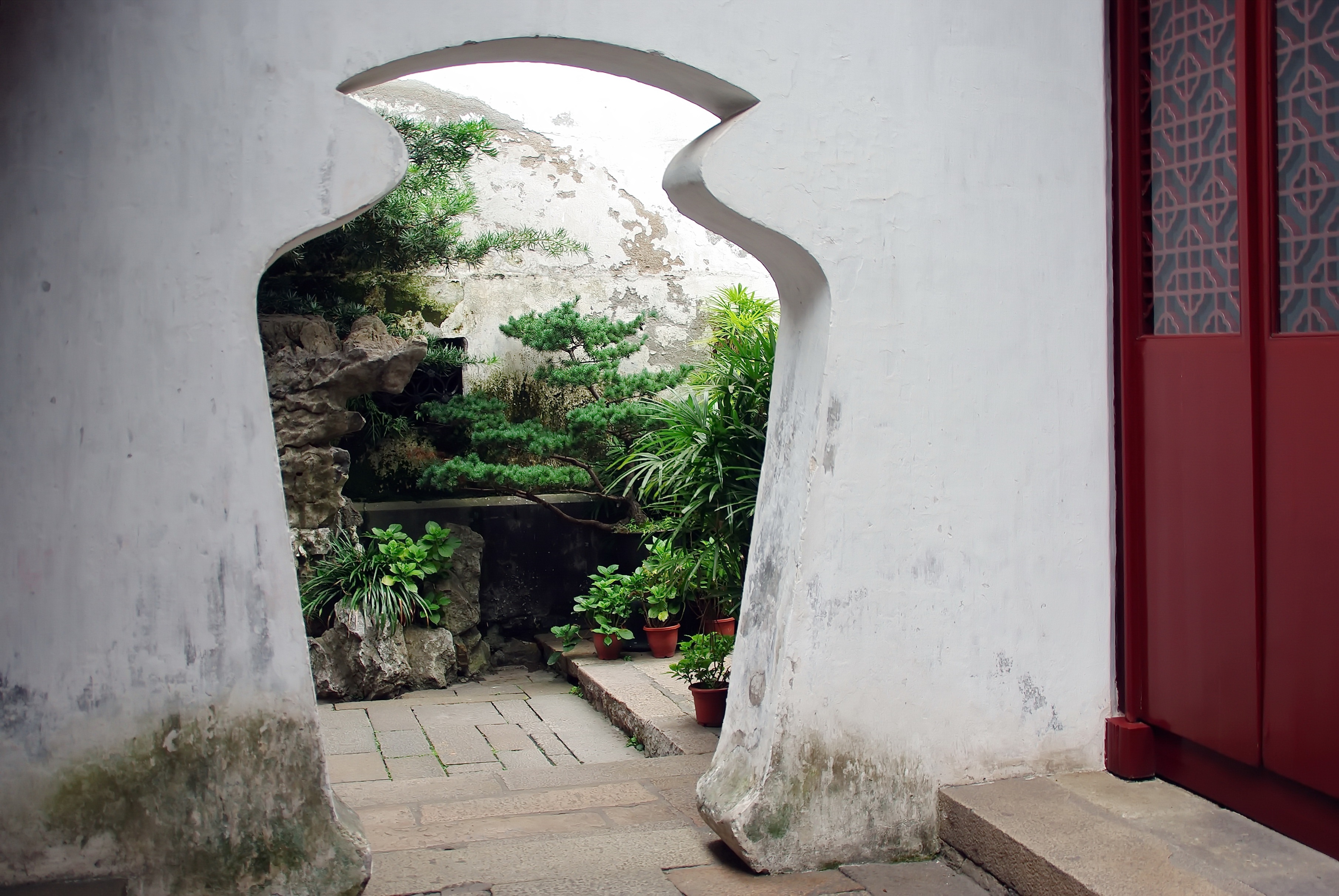 bonsai, tree, garden, building, suzhou, wall - building feature, nature, door, footpath, entrance, plant, day, building exterior, architecture, built structure, HD Wallpaper