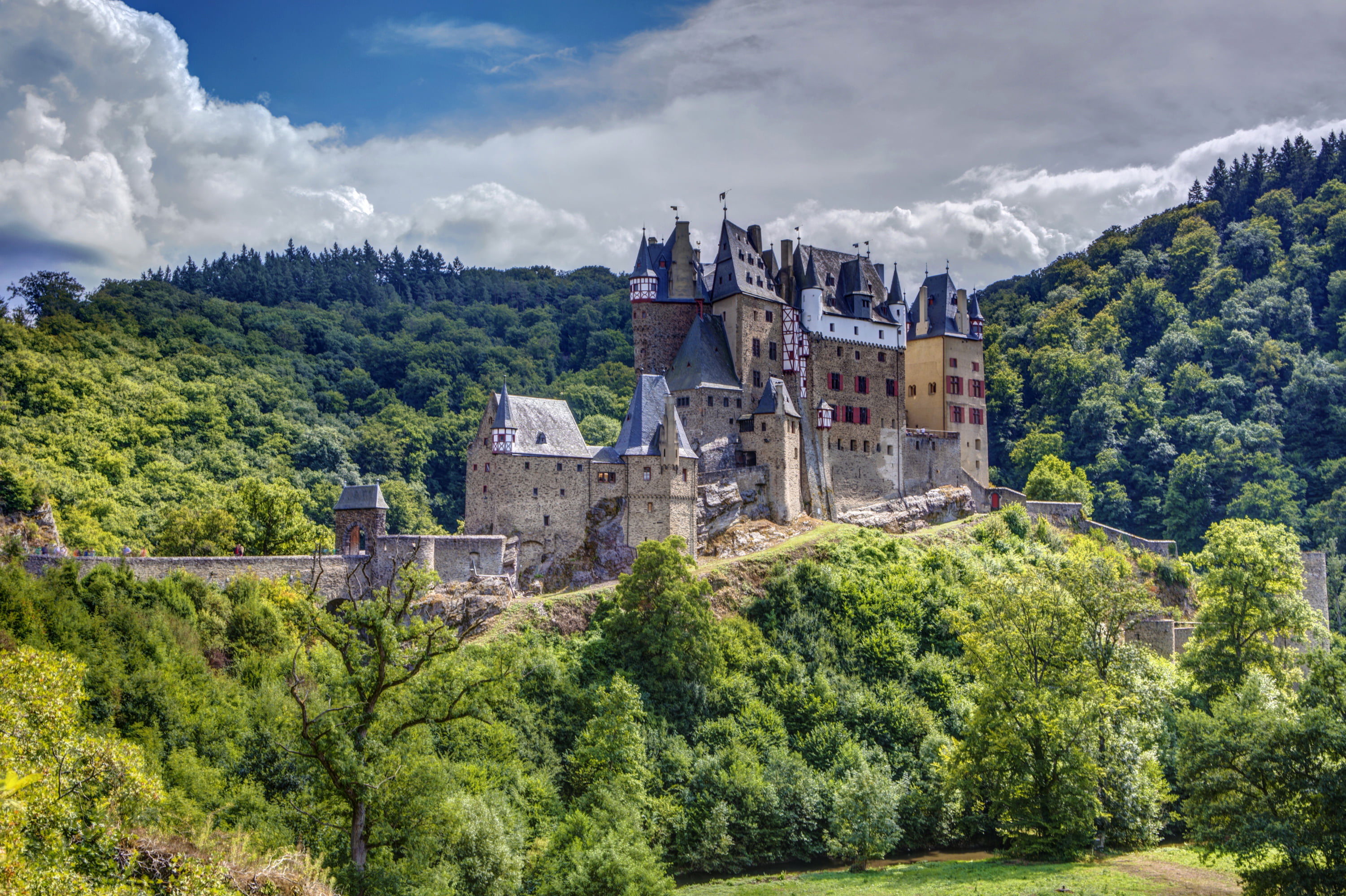 nature, beauty in nature, built structure, history, growth, ELTZ castle, the past, tree, trees, mountain, brown, forest, land, no people, day, architecture, HD Wallpaper