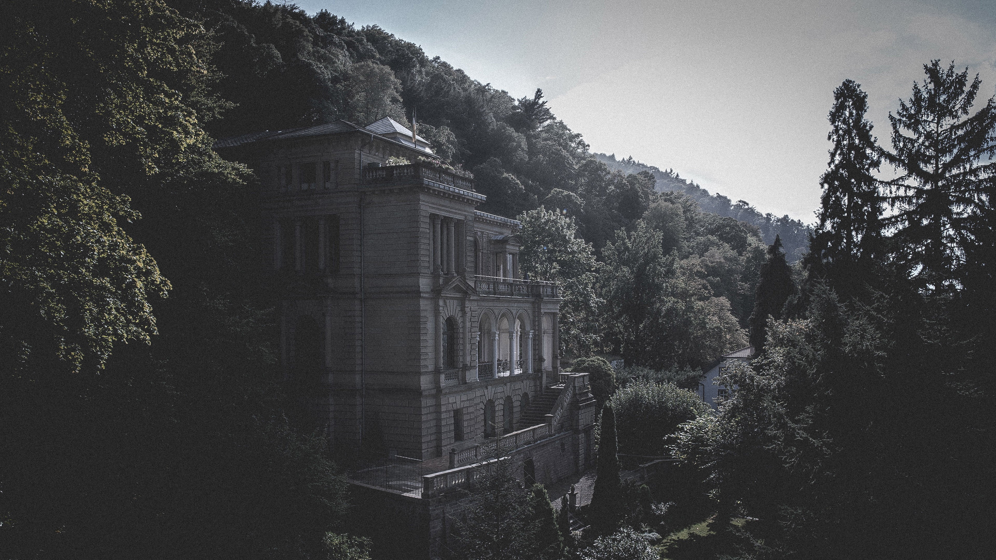 tree, sky, built structure, house, column, growth, 4K, day, clear sky, photography, building exterior, no people, stones, forest, architecture, obsolete, HD Wallpaper