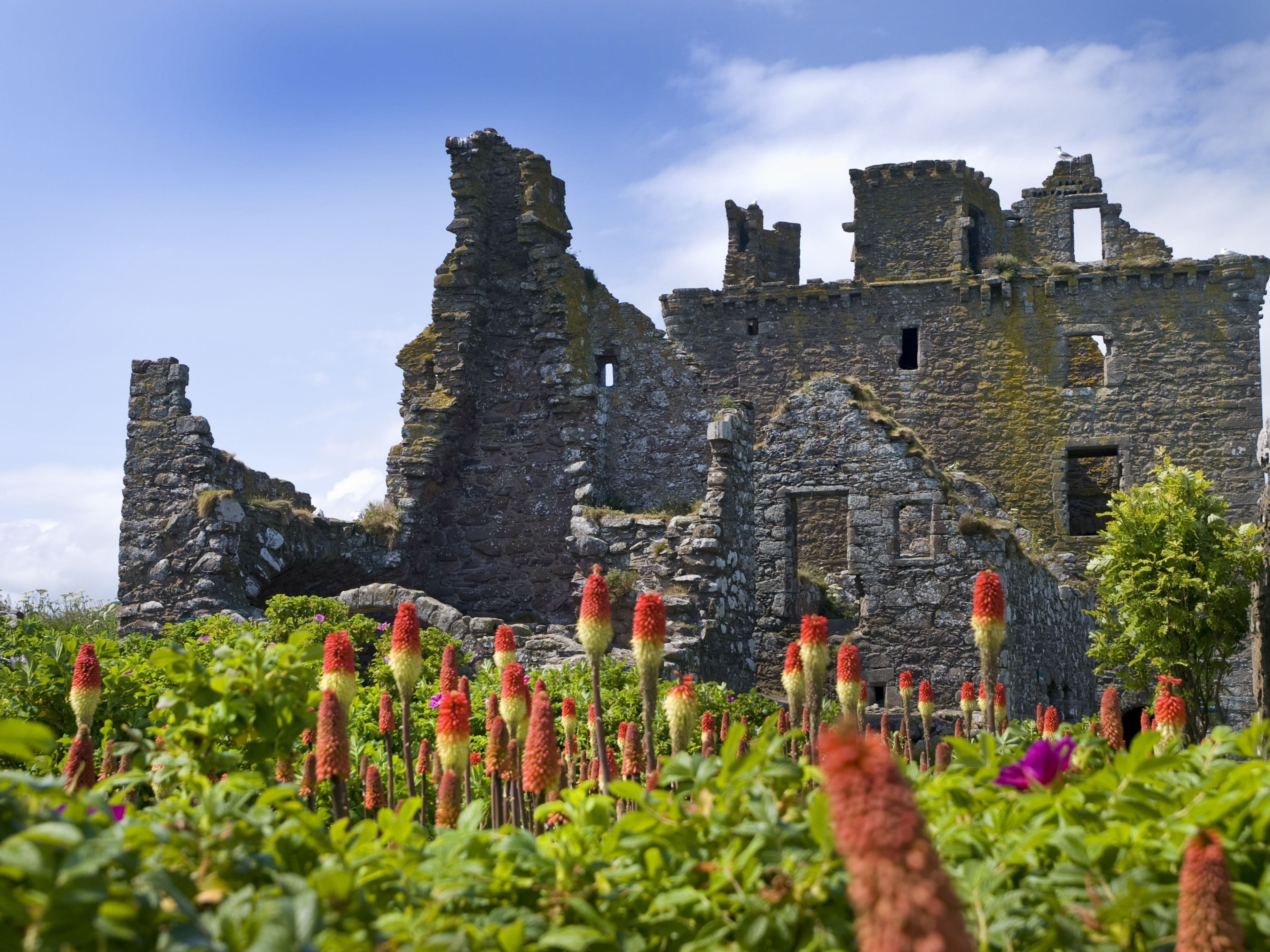 dunnottar castle, 2K, HD Wallpaper