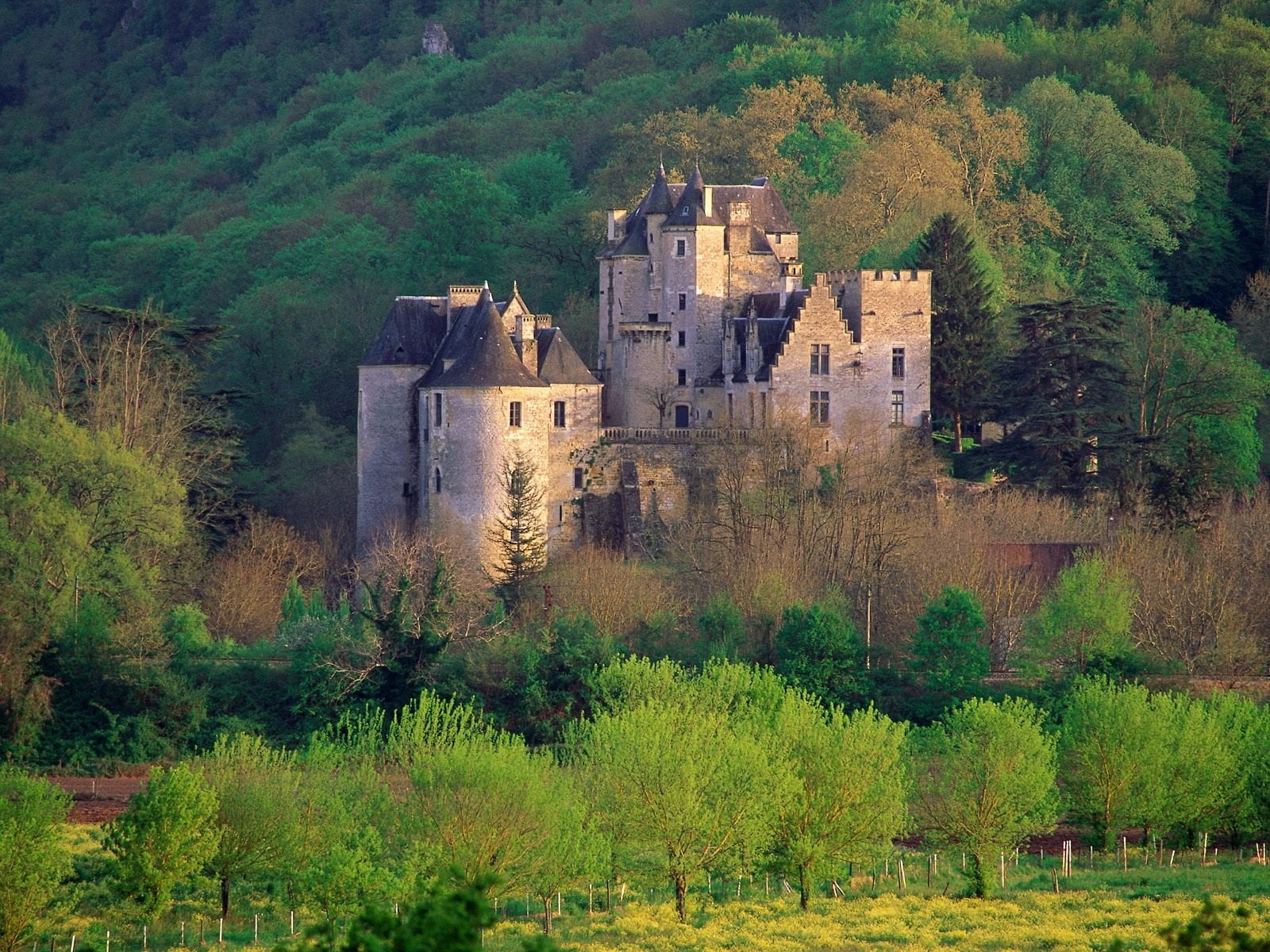 scenics, tower, tree, building, country, old, forest, medieval, grass, mountain, castle, landscape, house, scenics - nature, 720P, nature, history, surrounding Wall, HD Wallpaper