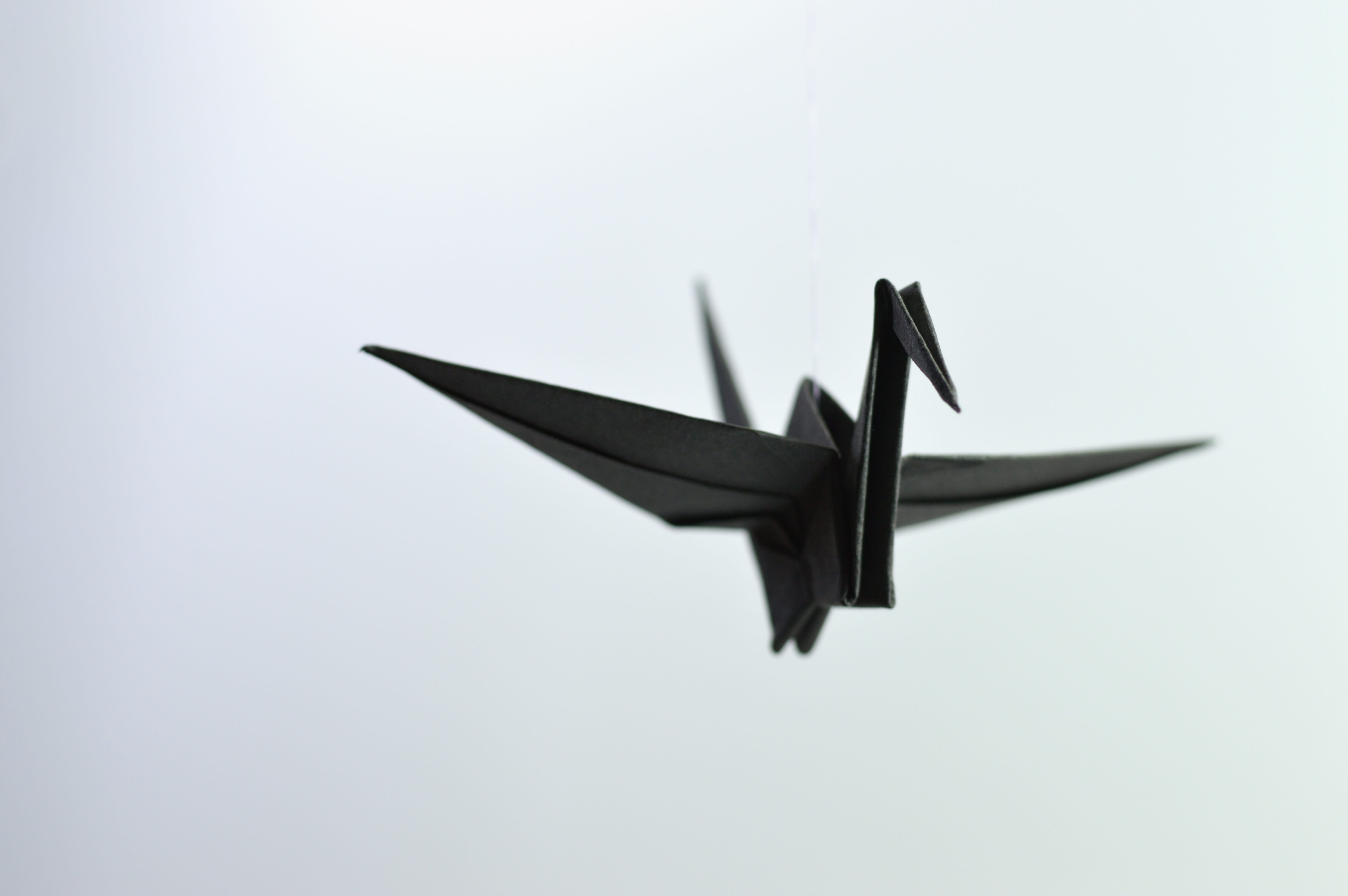 copy space, military, paper, low angle view, bird, flying, on the move, ave, air vehicle, no people, black, japan, handmade, freedom, bent, crane, studio shot, HD Wallpaper