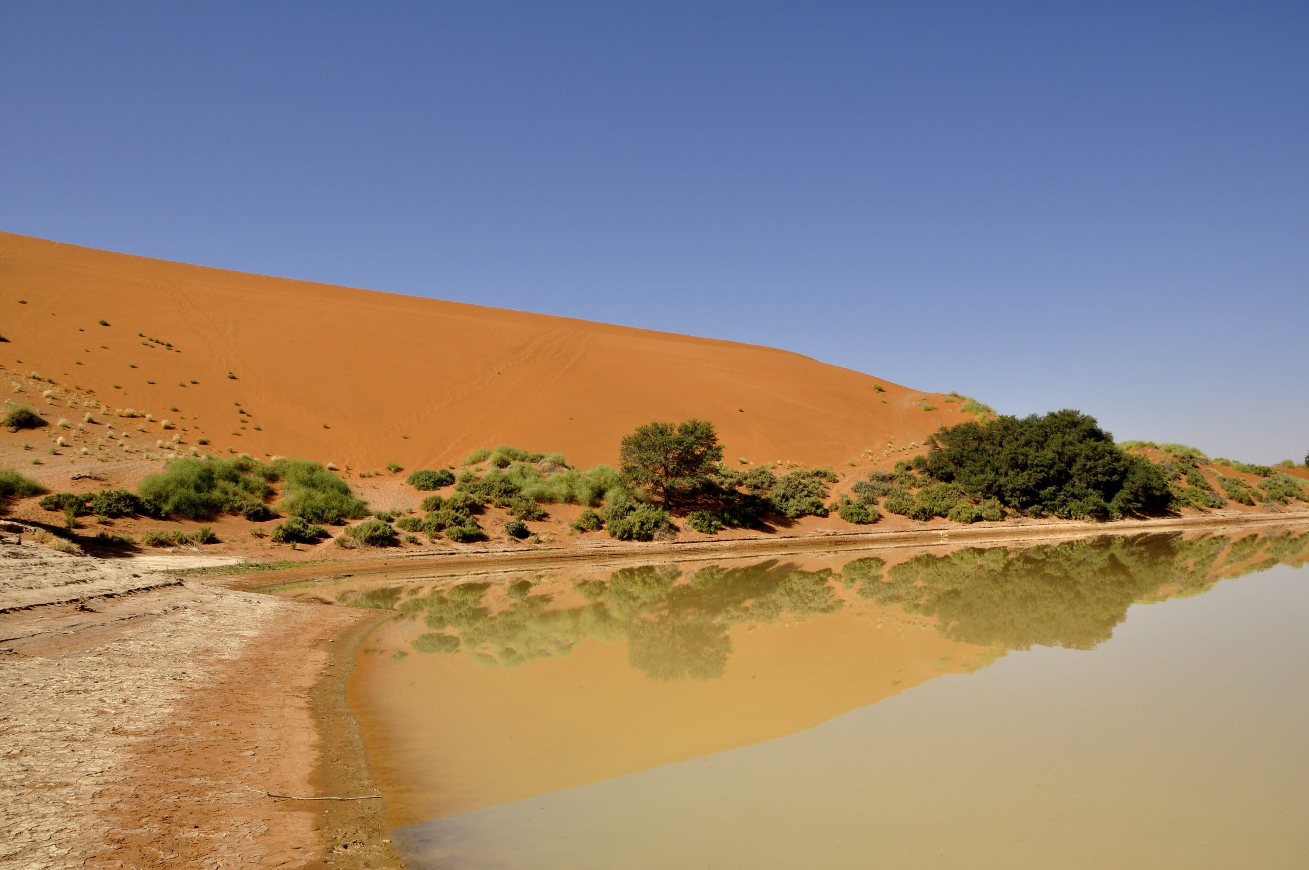 abfrika, no people, lake, scenics, landscape, sand dune, nature, environment, land, sossousvlei, Water, tranquil scene, namibia, climate, semi-arid, tranquility, HD Wallpaper