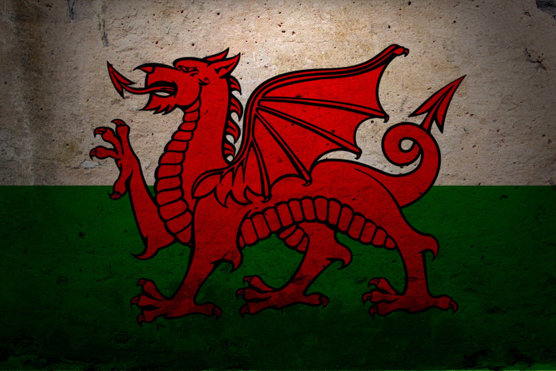 history, outdoors, representation, Flags, close-up, rainforest, ancient, red, people, tropical rainforest, Flag Of Wales, the past, aggression, animal wildlife, HD Wallpaper