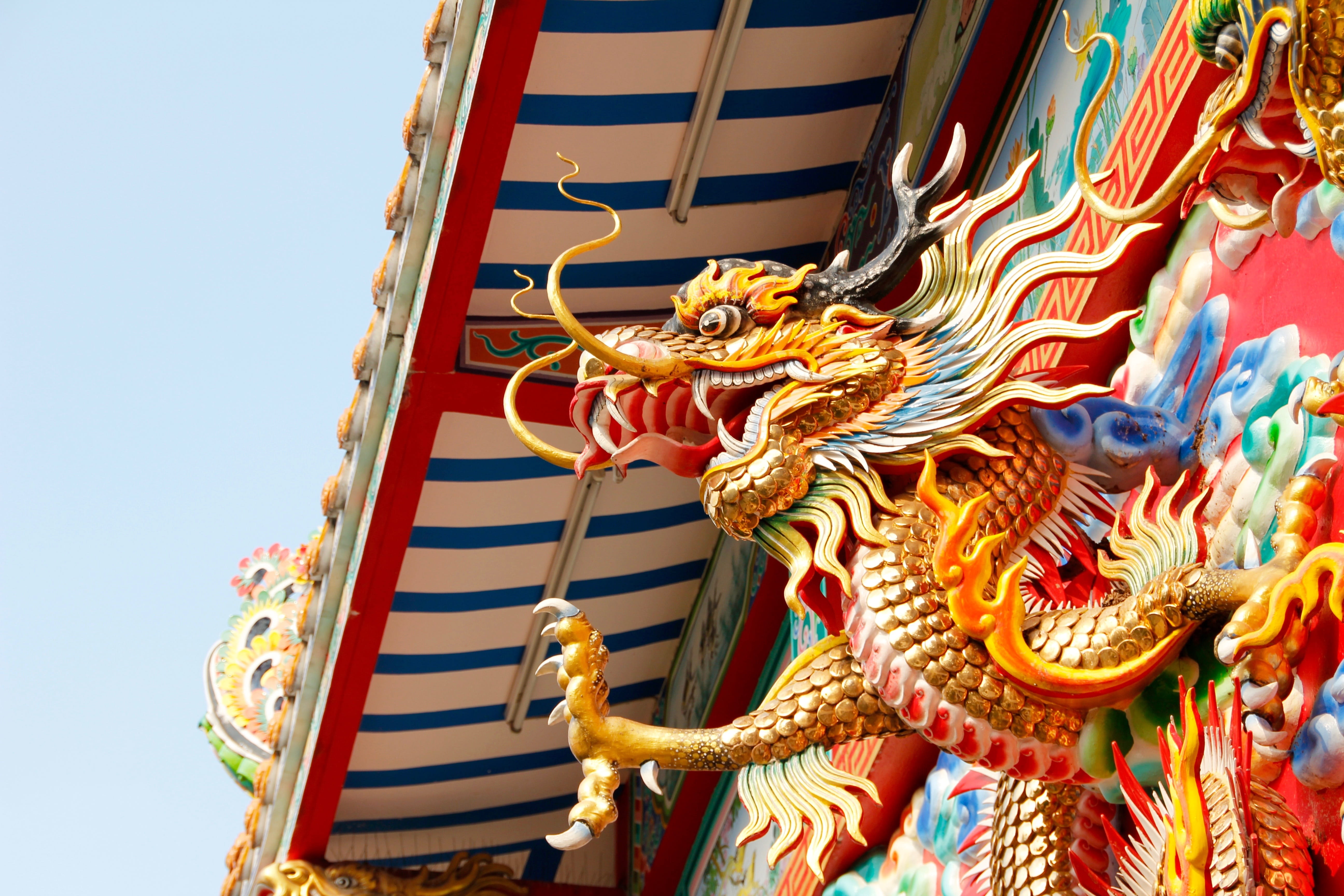 outdoors, belief, colorful, place of worship, roof, ornament, white dragon, thai, buddhism, chinese dragon, southeast, dragons, sculpture, creativity, day, HD Wallpaper