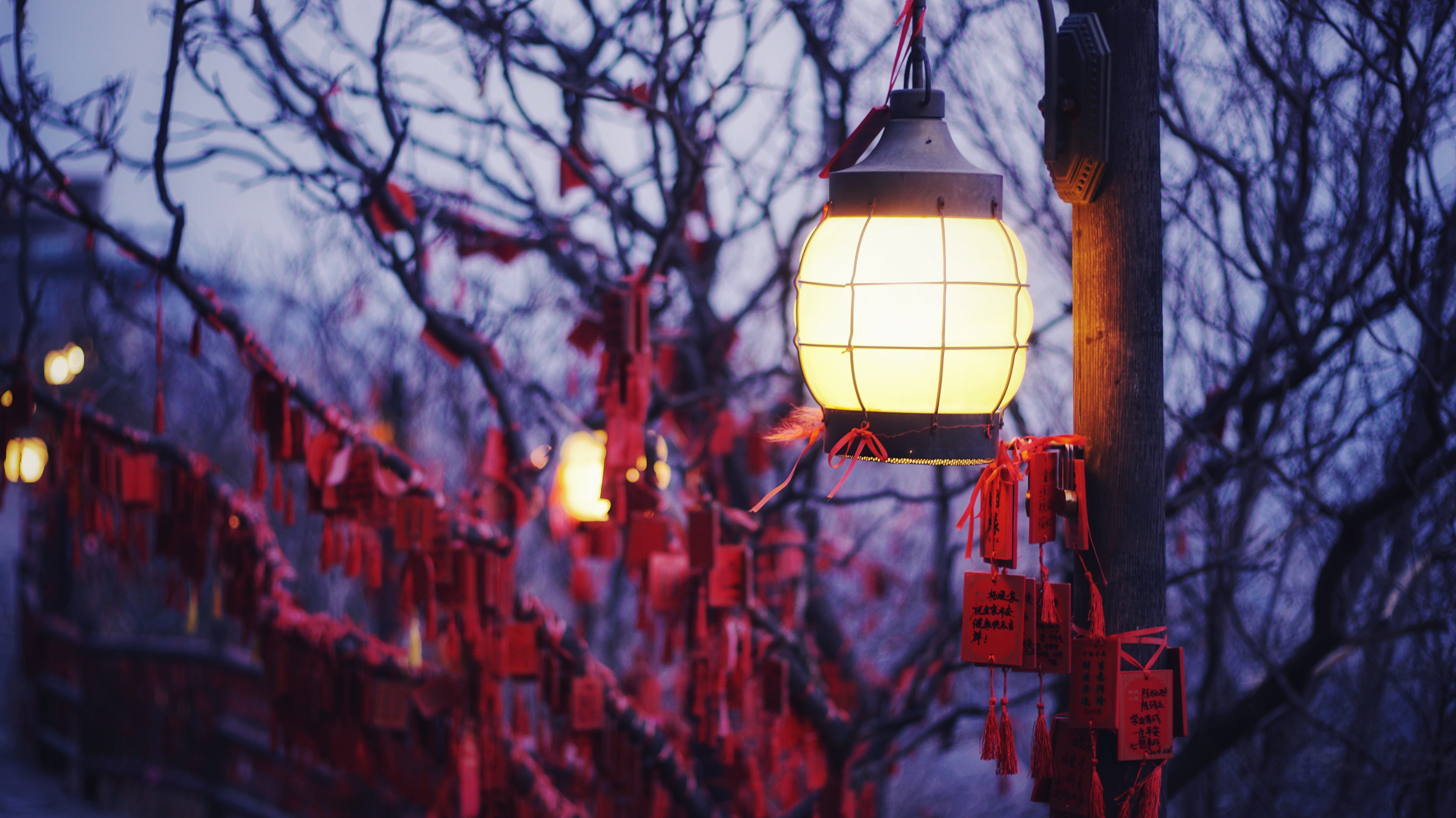 focus on foreground, chinese new year, the great wall, bare tree, chinese lantern, electric lamp, 5K, architecture, branch, outdoors, built structure, HD Wallpaper