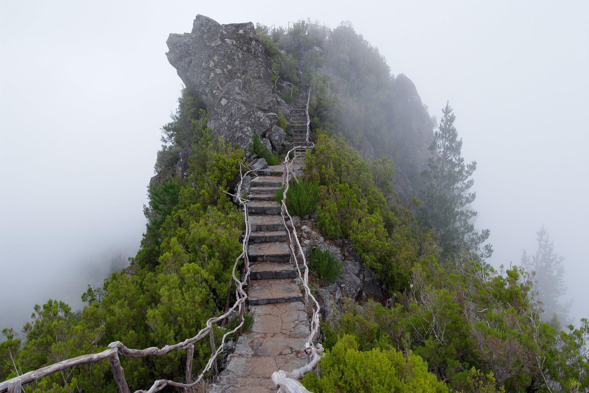 outdoors, non-urban scene, the way forward, rock - Object, travel, day, plant, mountain Peak, great Wall Of China, chinese Culture, mountain, steps, forest, HD Wallpaper
