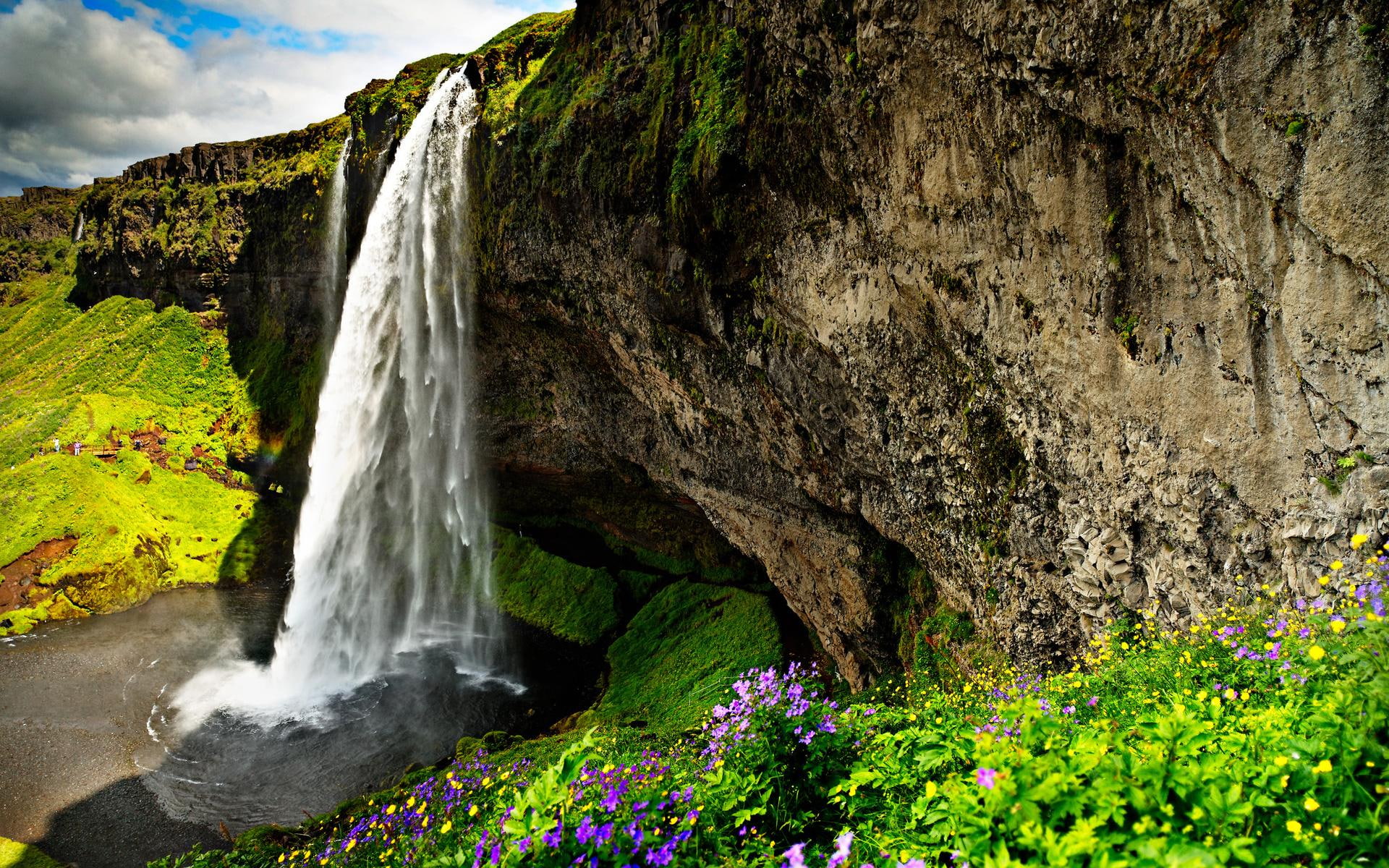 waterfall, cliff, 1080P, sightseeing, pool, nature and landscapes, flowers, waterfalls, painting, gorgeous, HD Wallpaper