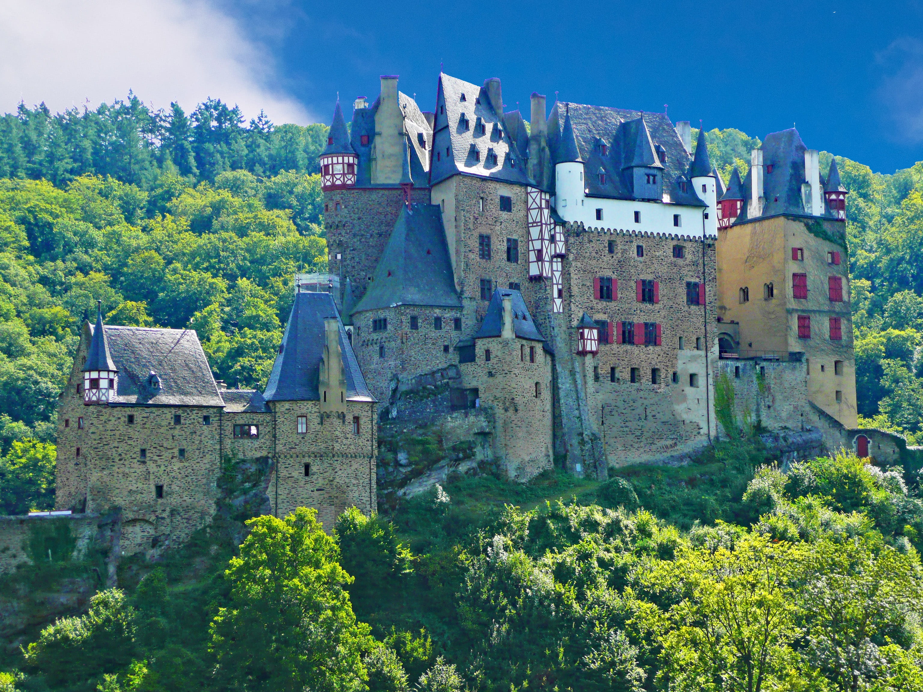 travel destinations, Sachsen, growth, green color, old, places of interest, history, building exterior, fort, day, built structure, middle ages, no people, HD Wallpaper