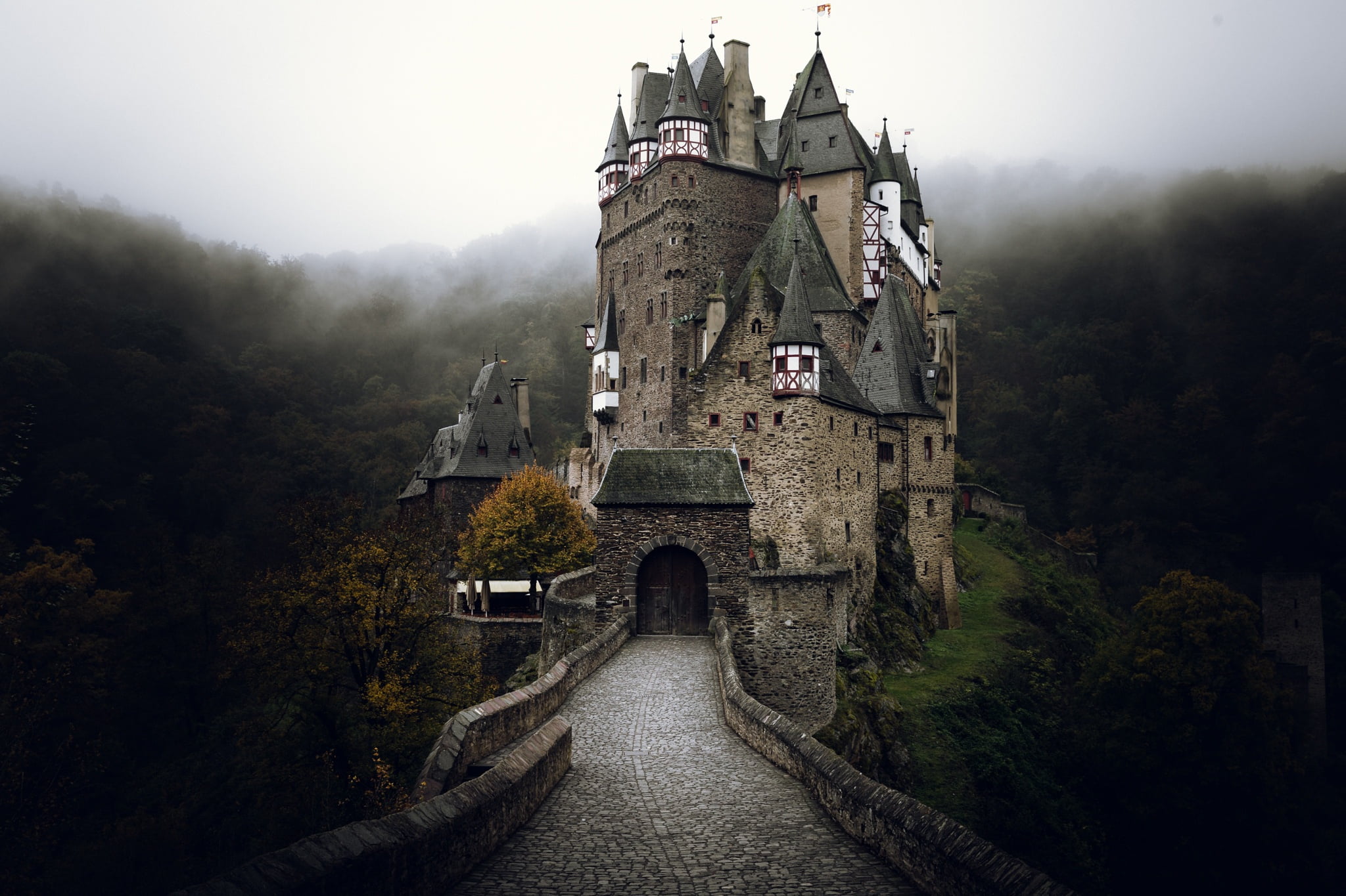 fog, building, ELTZ, tree, plant, no people, architecture, autumn, nature, Germany, sky, travel destinations, concrete, castle, the past, built structure, HD Wallpaper