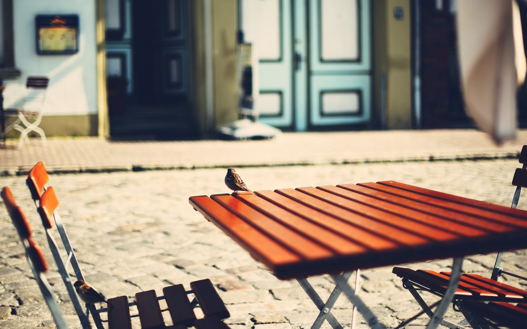 animals, animal themes, sunlight, focus on foreground, perching, building, animal wildlife, cobblestone, sparrow, seat, built structure, animal, 720P, HD Wallpaper