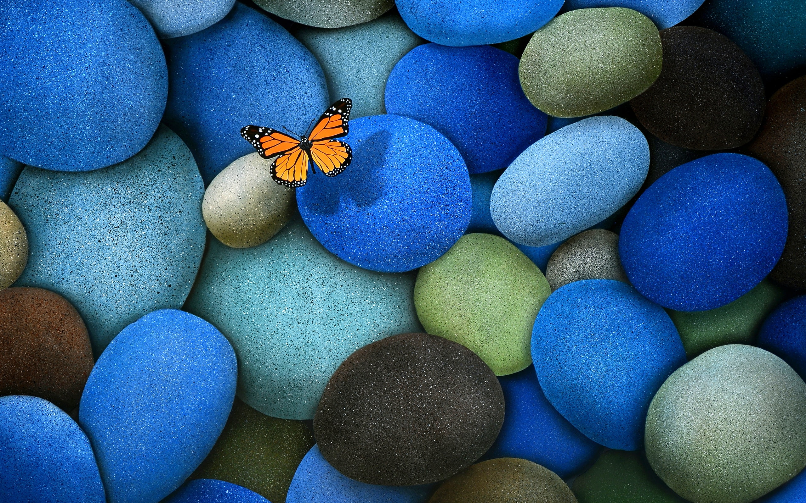 2K, Blue, Butterfly, Cobblestone, HD Wallpaper