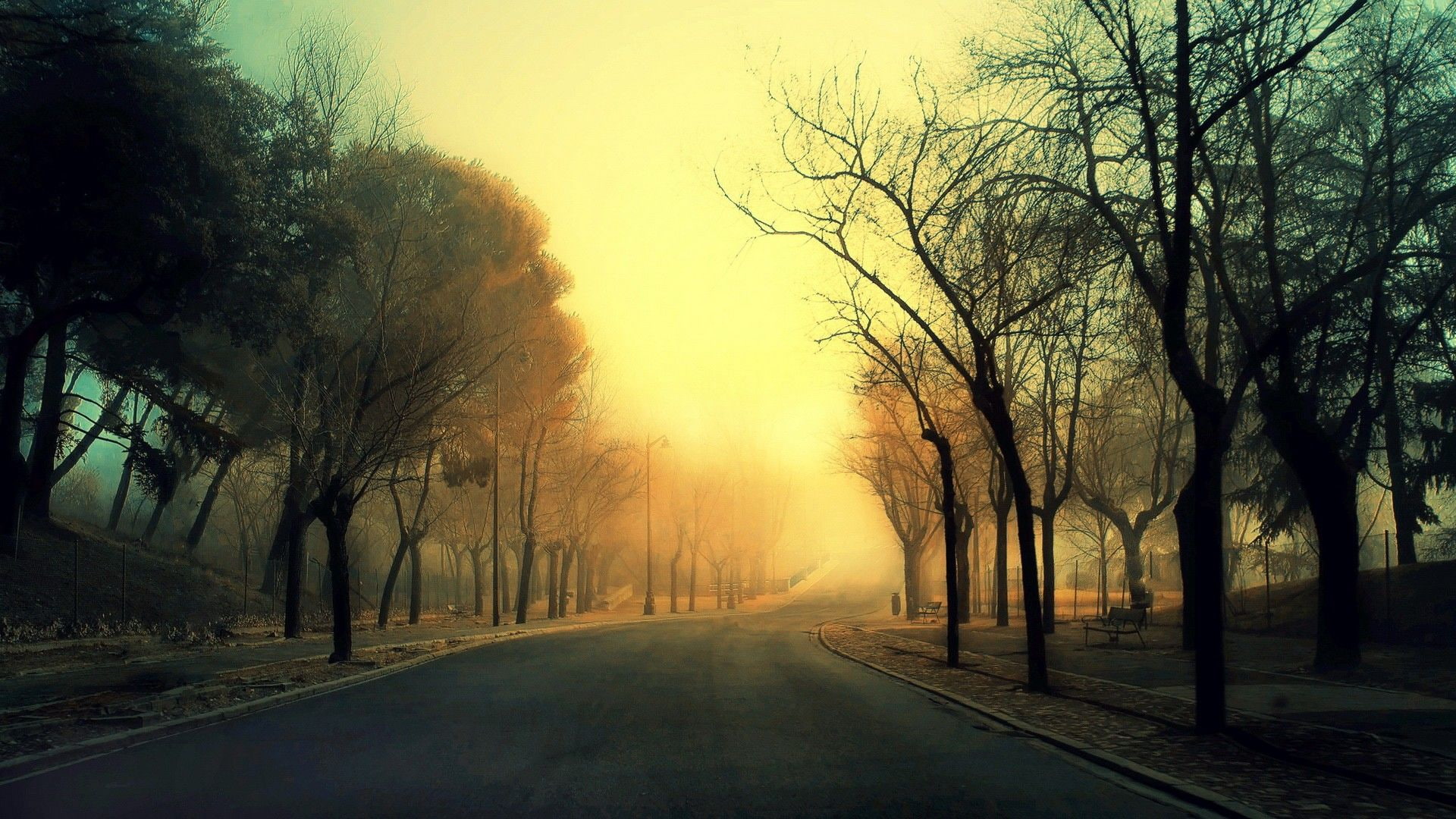 sunrise, hd, roads, instagram, trees, 1080P, road, like, HD Wallpaper