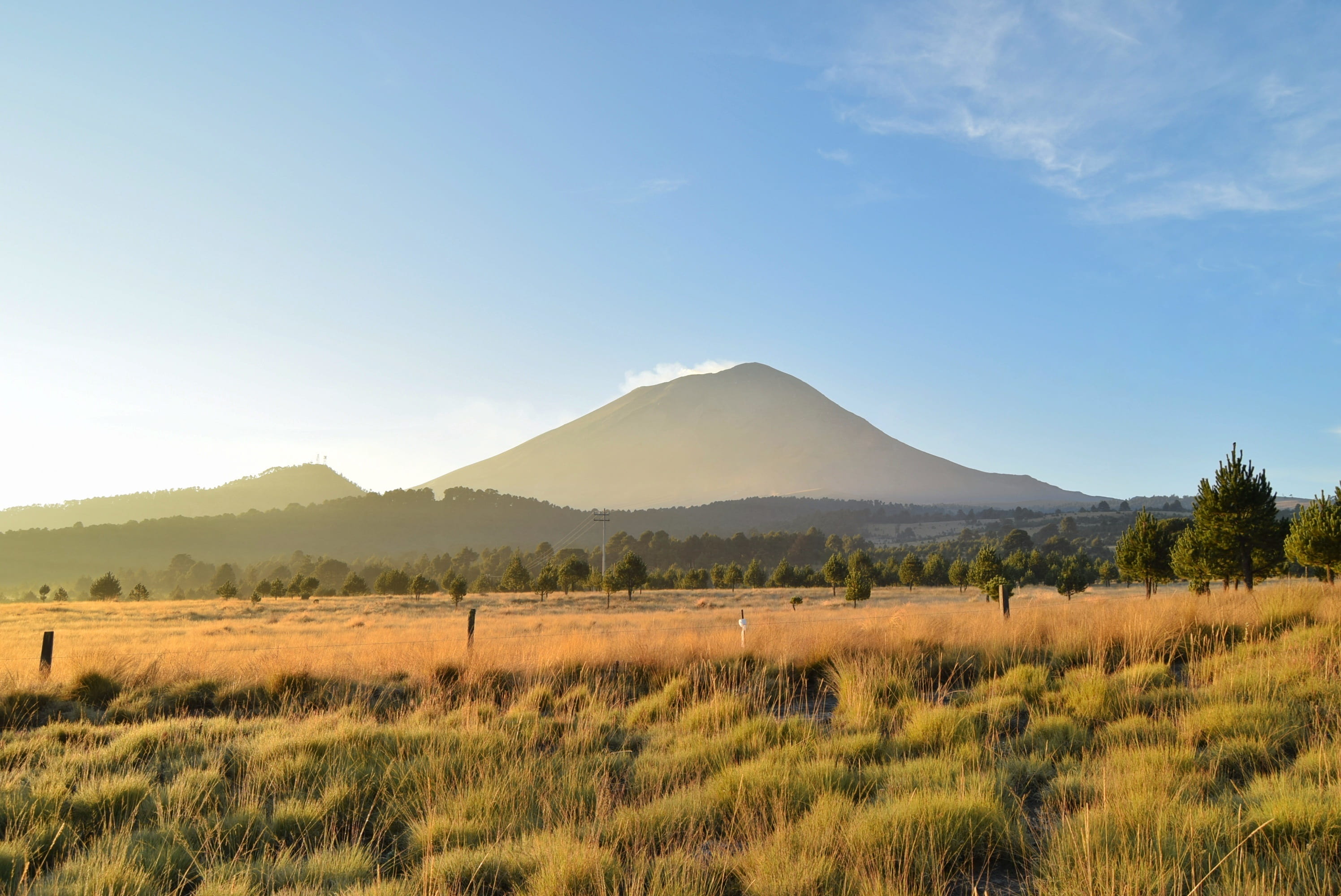 land, mountain, non-urban scene, mountaineering, day, beauty in nature, plant, sunlight, growth, volcano, landscape, tree, popocatepetl, puebla, nature, HD Wallpaper