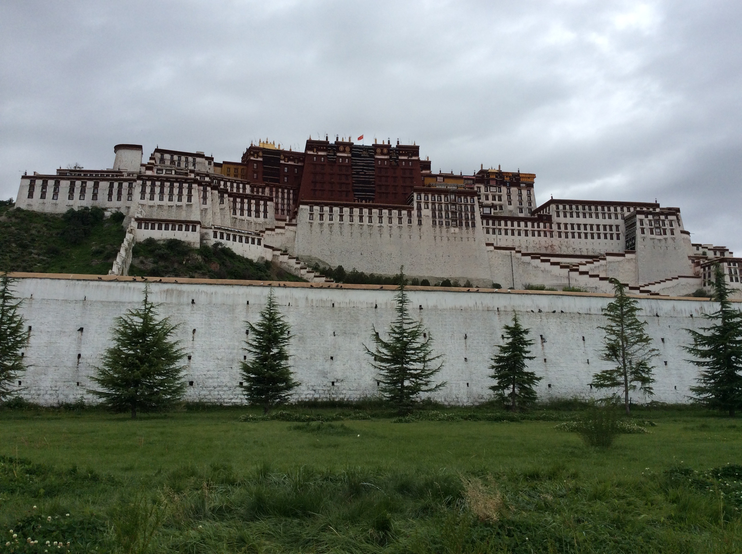 nature, 2K, building, day, built structure, tibet, history, no people, outdoors, buddhism, the past, cloud - sky, land, travel, growth, palace, plant, HD Wallpaper