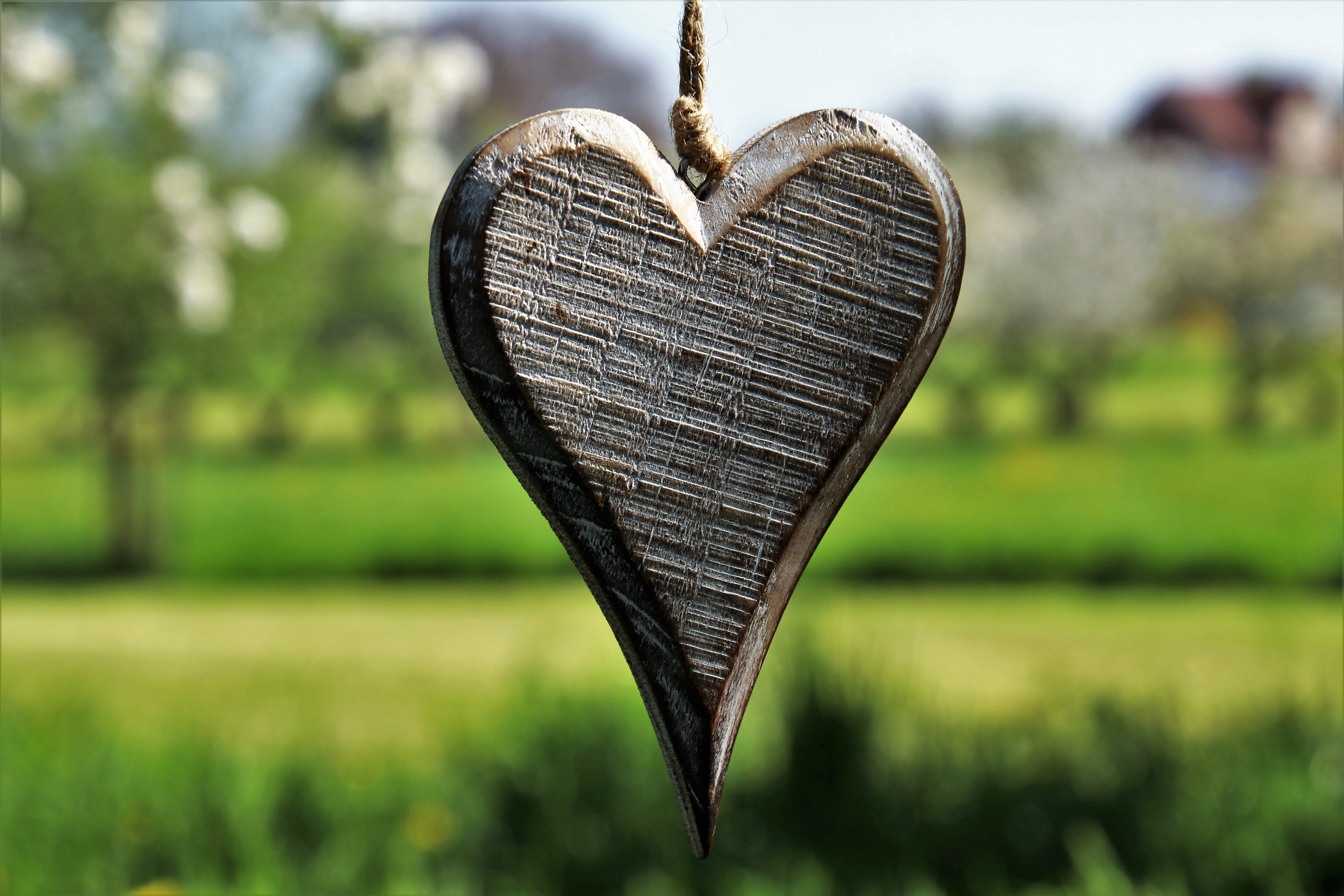 creativity, art and craft, hanging, wood - material, tree, the prospect of, positive emotion, feeling, figure, sunny, colored, leaf, love, spring, plant, HD Wallpaper