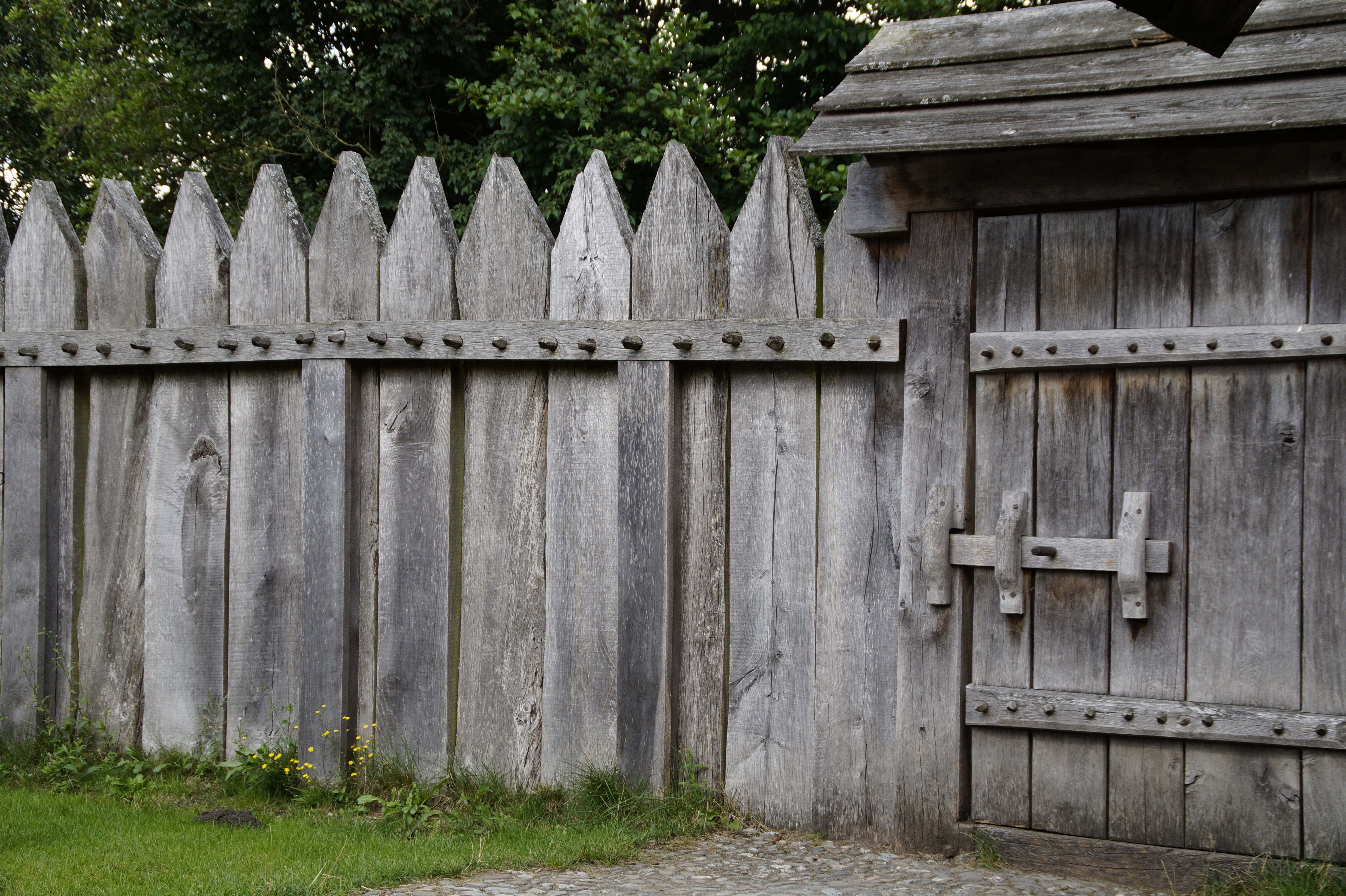 fence, paling, wood fence, entrance, palisade, border, military fence, closed, 5K, field, protection, plant, demarcation, goal, door, outdoors, gate, wood - material, HD Wallpaper