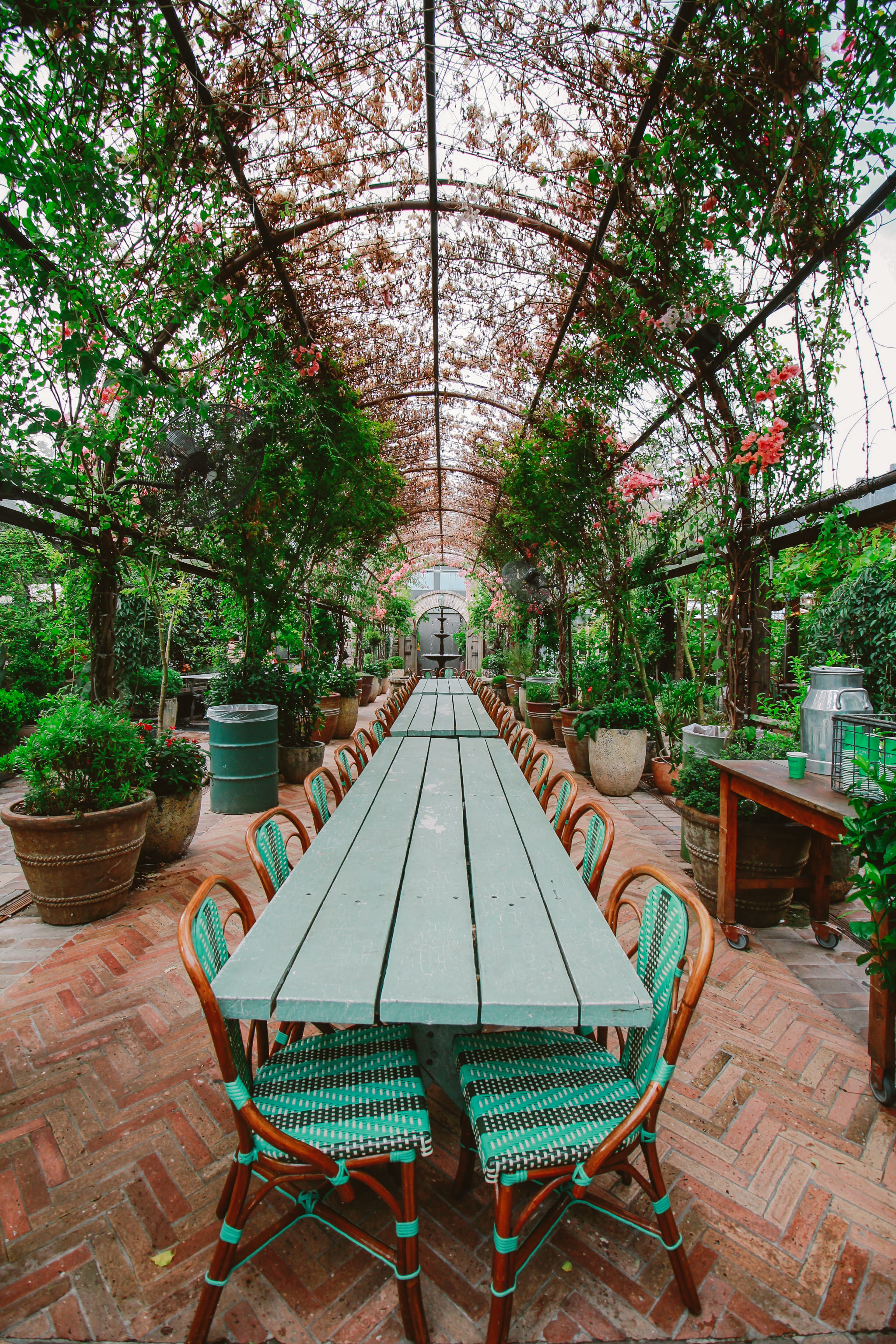 in a row, architecture, no people, ground of alexandria, the way forward, growth, green, green color, tree, arch, garden, seats, tables, dining area, seat, Phone HD Wallpaper