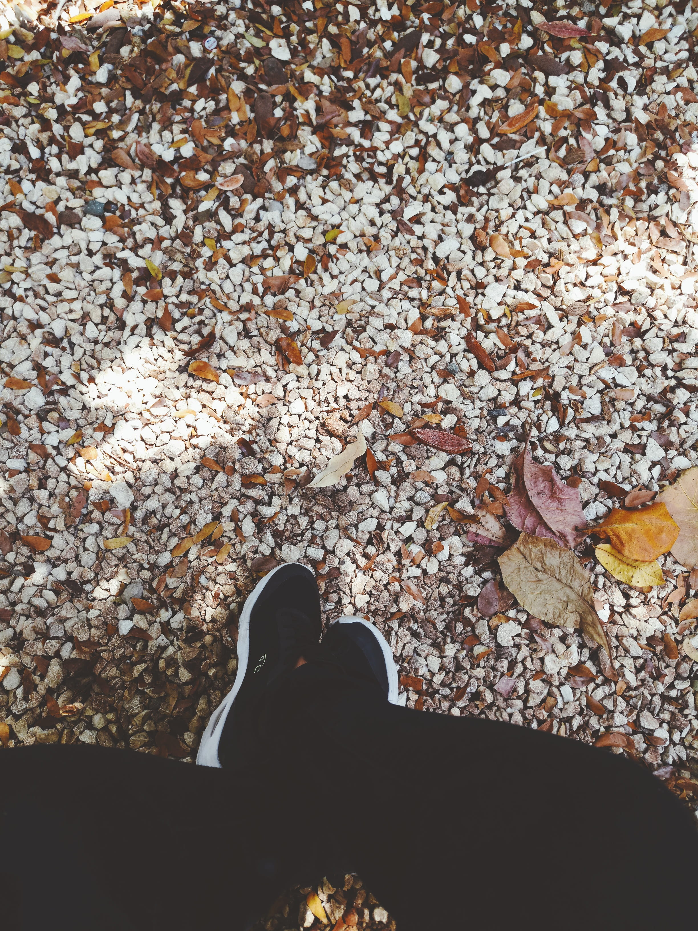 pebble, real people, human limb, human body part, santo domingo, universidad autónoma de santo domingo, plant part, one person, leaves, lifestyles, low section, Phone HD Wallpaper