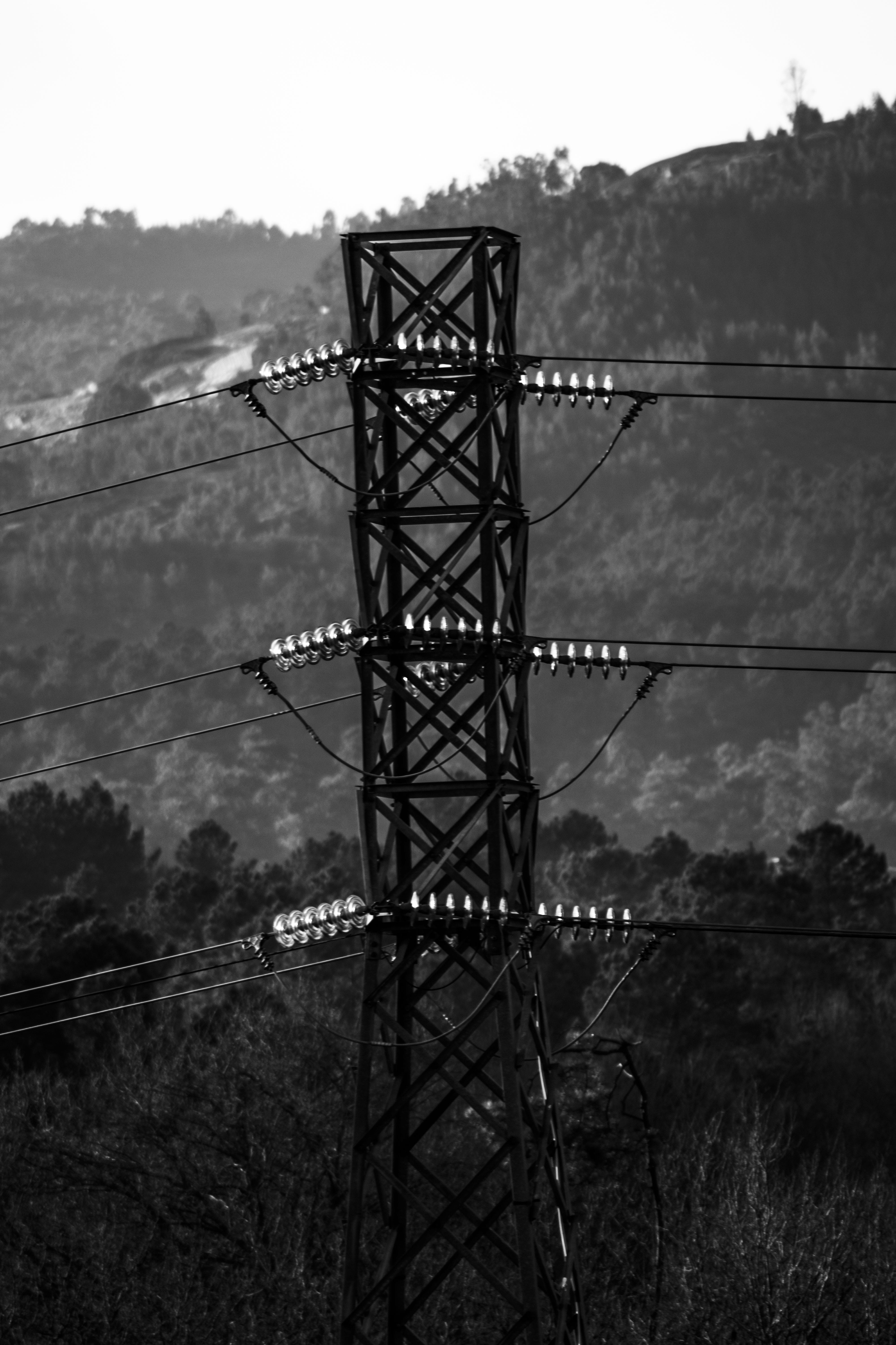 sky, perspective, perspectiva, tree, blanco y negro, fuel and power generation, 5K, naturaleza, non-urban scene, electric transmission tower, lineas, nature, Phone HD Wallpaper