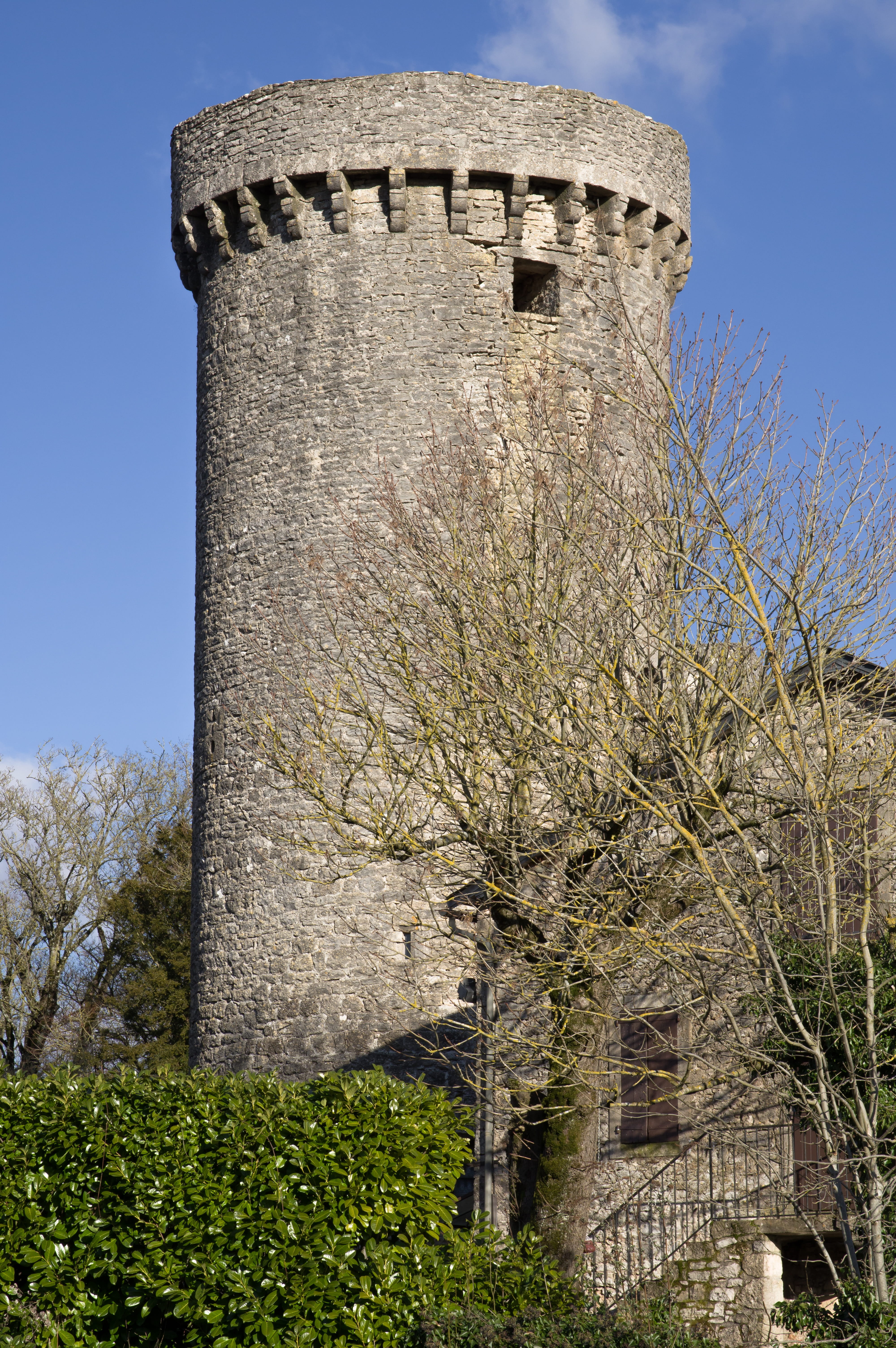 medieval, tree, old, the past, built structure, building exterior, tower, low angle view, keep, plant, architecture, ancient, templars, fortress, history, Phone HD Wallpaper