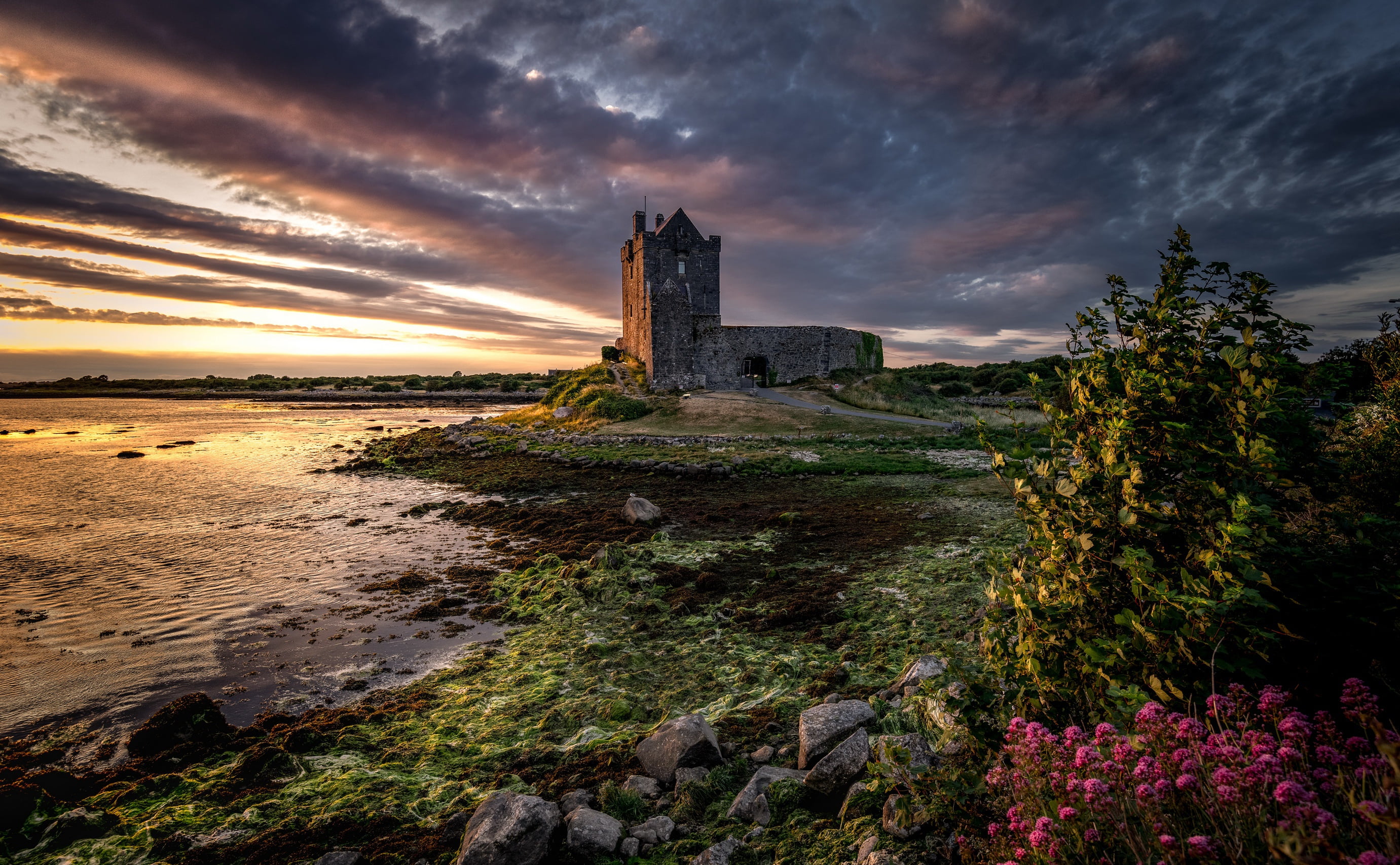 Galway, Ireland, Dunguaire, Sunset, 2K, Dunguaire Castle, HD Wallpaper