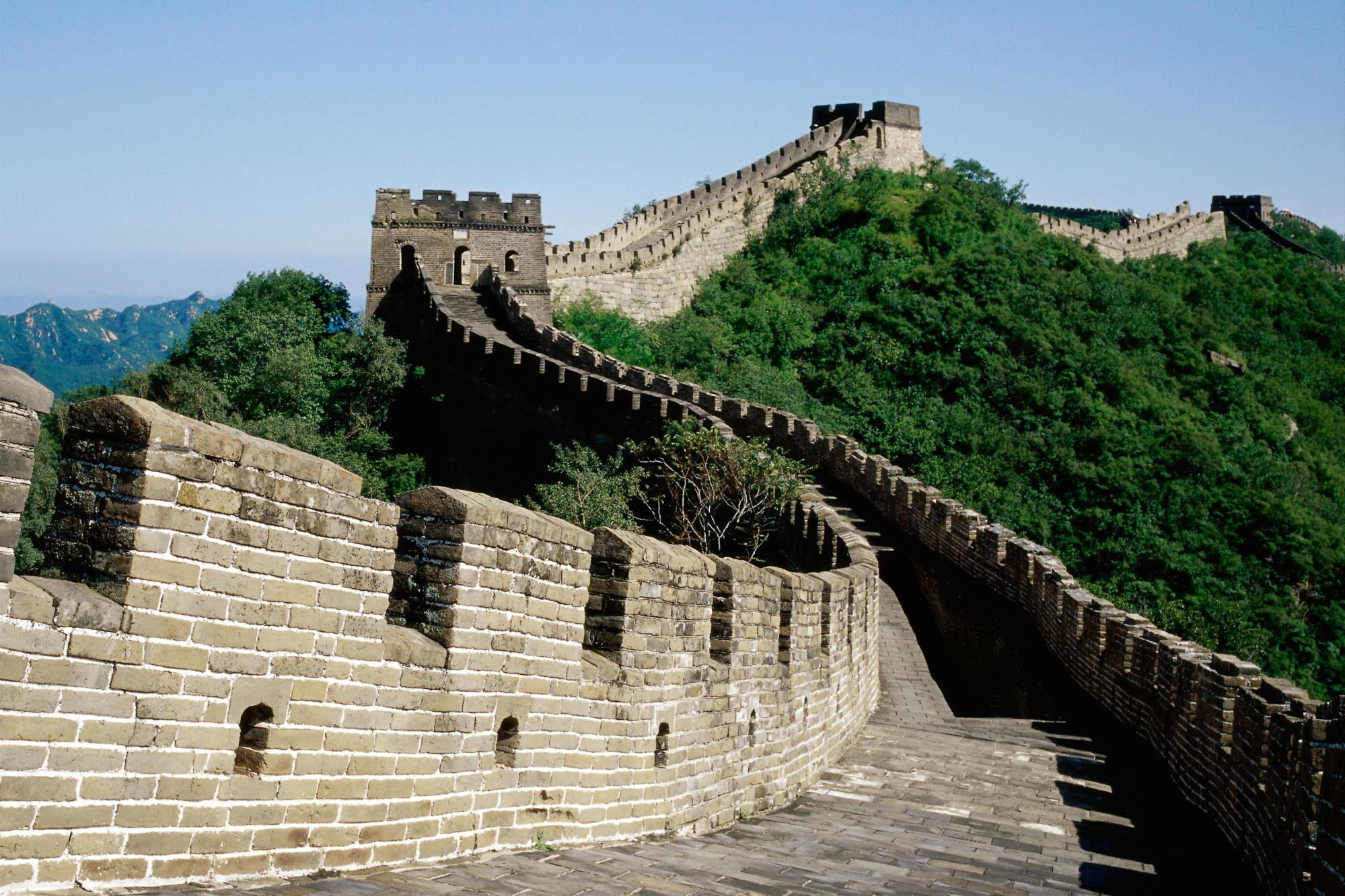 tourism, plant, architecture, nature, tree, great, sky, the past, surrounding wall, outdoors, travel destinations, ancient civilization, staircase, day, HD Wallpaper