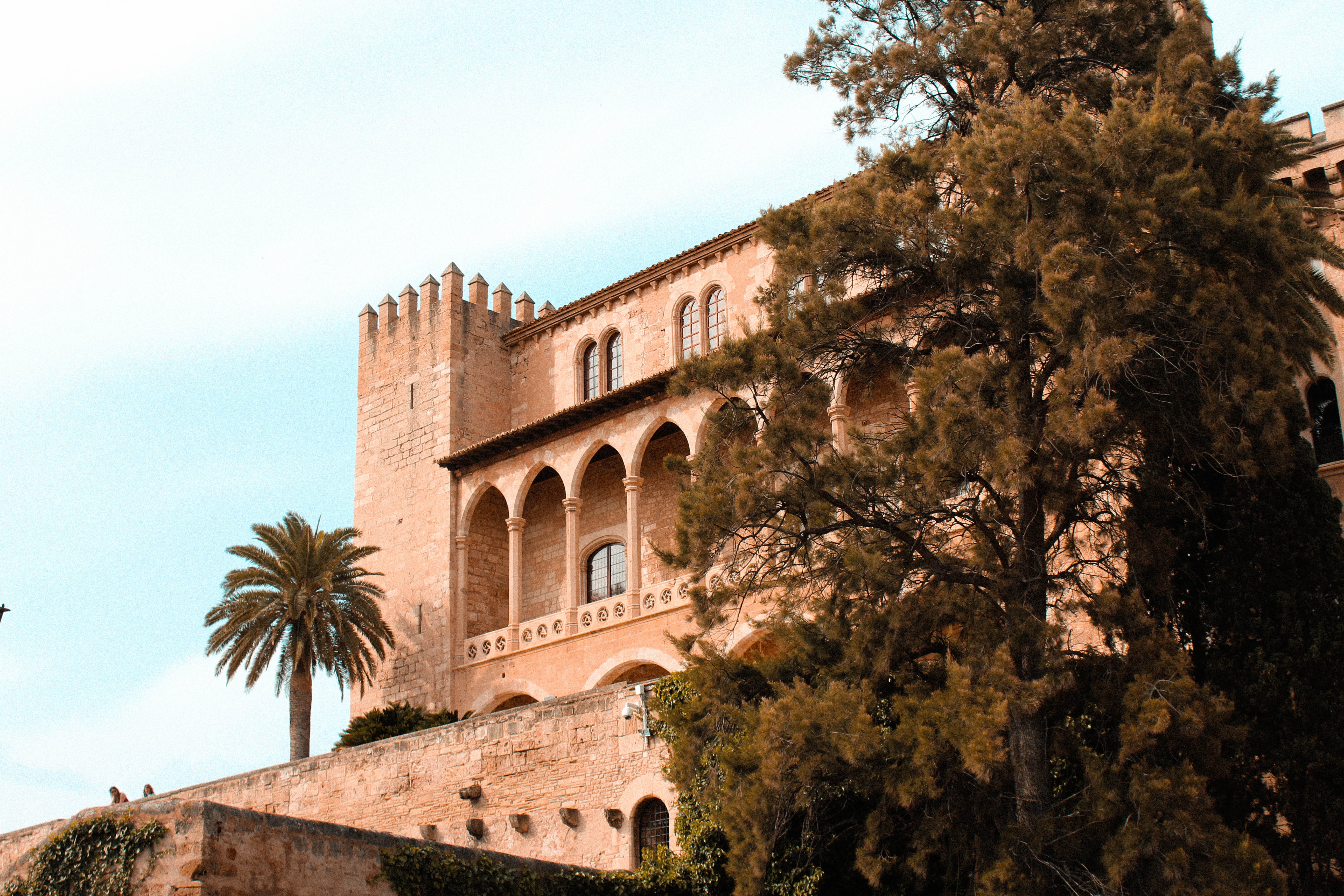 castle, building exterior, palma, sky, growth, day, low angle view, spain, history, architecture, no people, cathedrale, palm tree, 5K, palma de majorque, HD Wallpaper