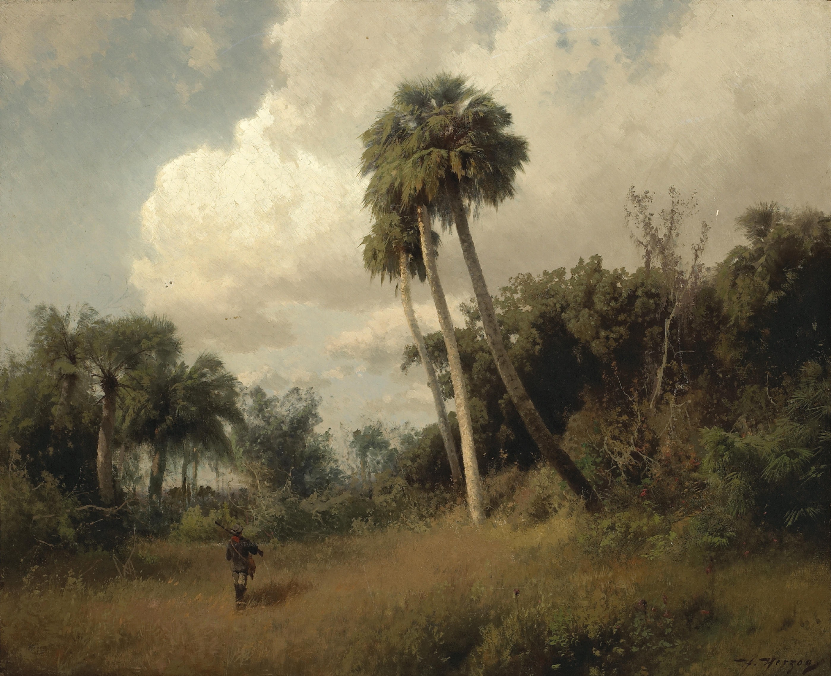 clouds, scenic, day, growth, real people, cloud - sky, scenics - nature, artistry, woods, land, palms, art, tranquility, field, one person, non-urban scene, HD Wallpaper