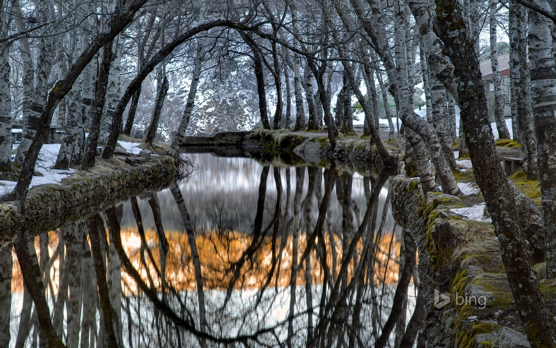 1080P, snow, Covao da Ametade. the river zêzere, Serra da Estrela, trees, Portugal, fog, HD Wallpaper