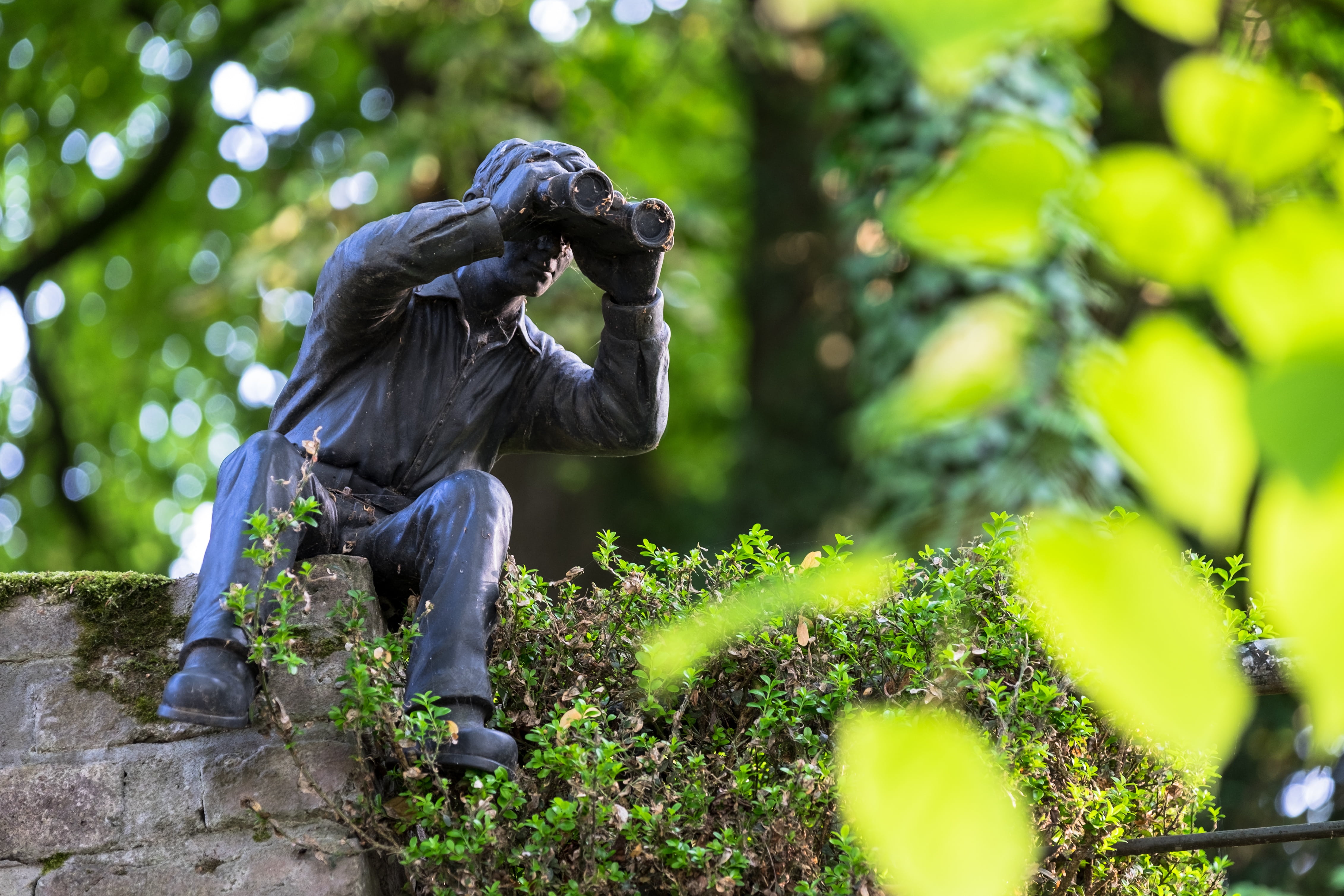 ape, figure, binoculars, day, rhine river, monument, tropical rainforest, stalking, disguised, man, look, statue, monitor, hide, nature, outlook, mammal, HD Wallpaper