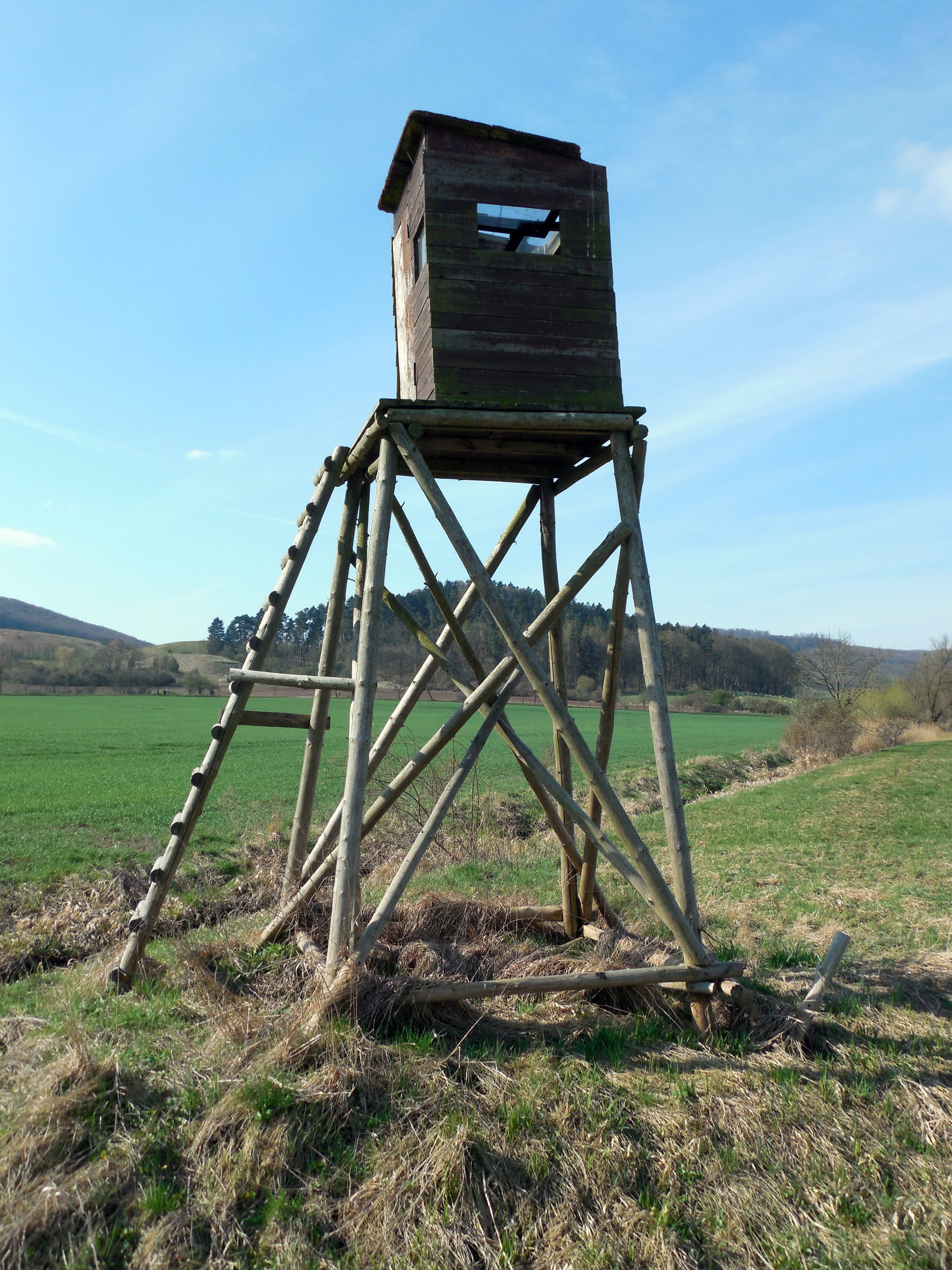 landscape, environment, hunting was, no people, architecture, sky, tower, old, tranquil scene, plant, lookout tower, land, Hunt, tranquility, wood - material, Phone HD Wallpaper