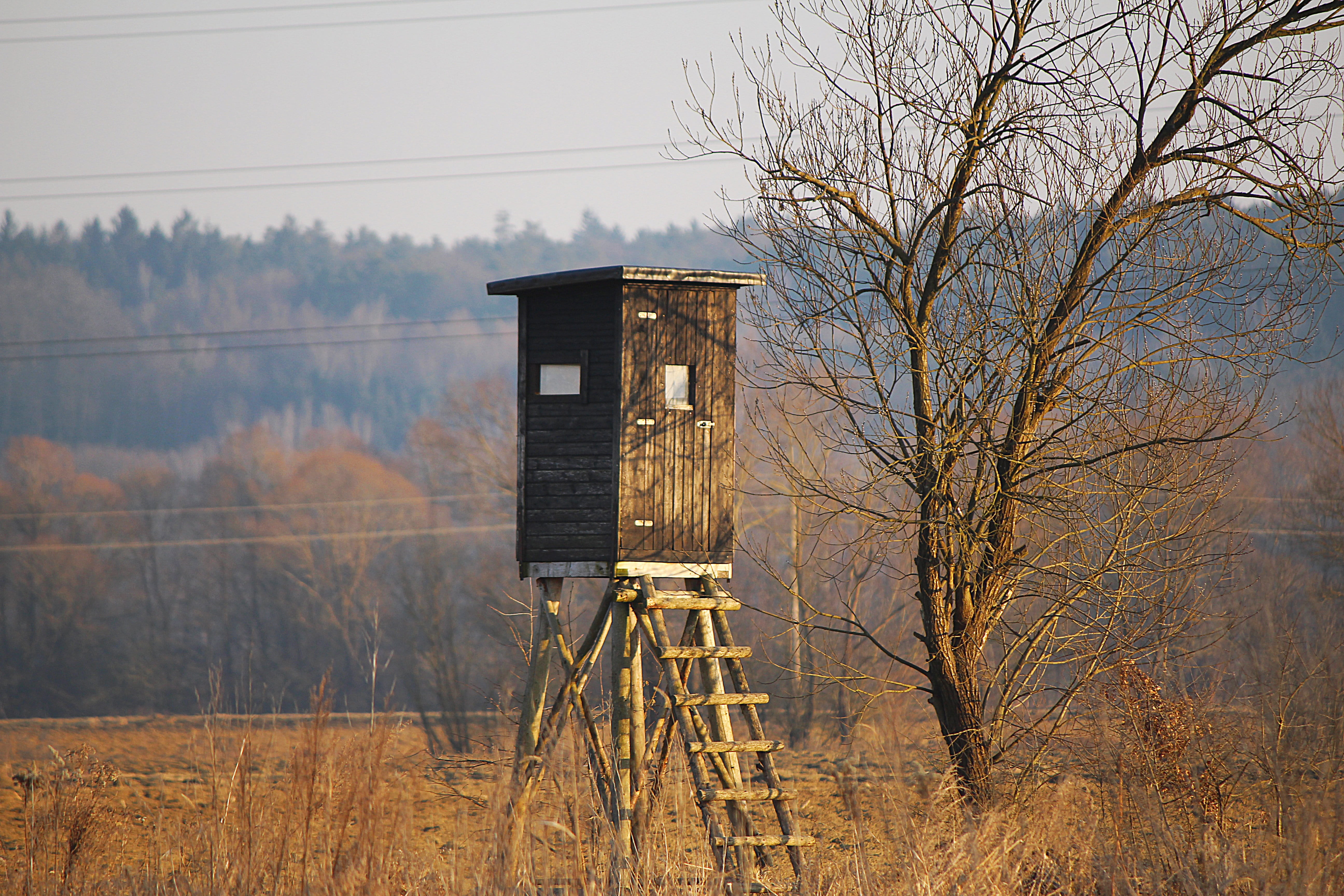 5K, environment, field, plant, sky, architecture, building exterior, water tower - storage tank, hunting seat, tranquility, built structure, hunter was, HD Wallpaper