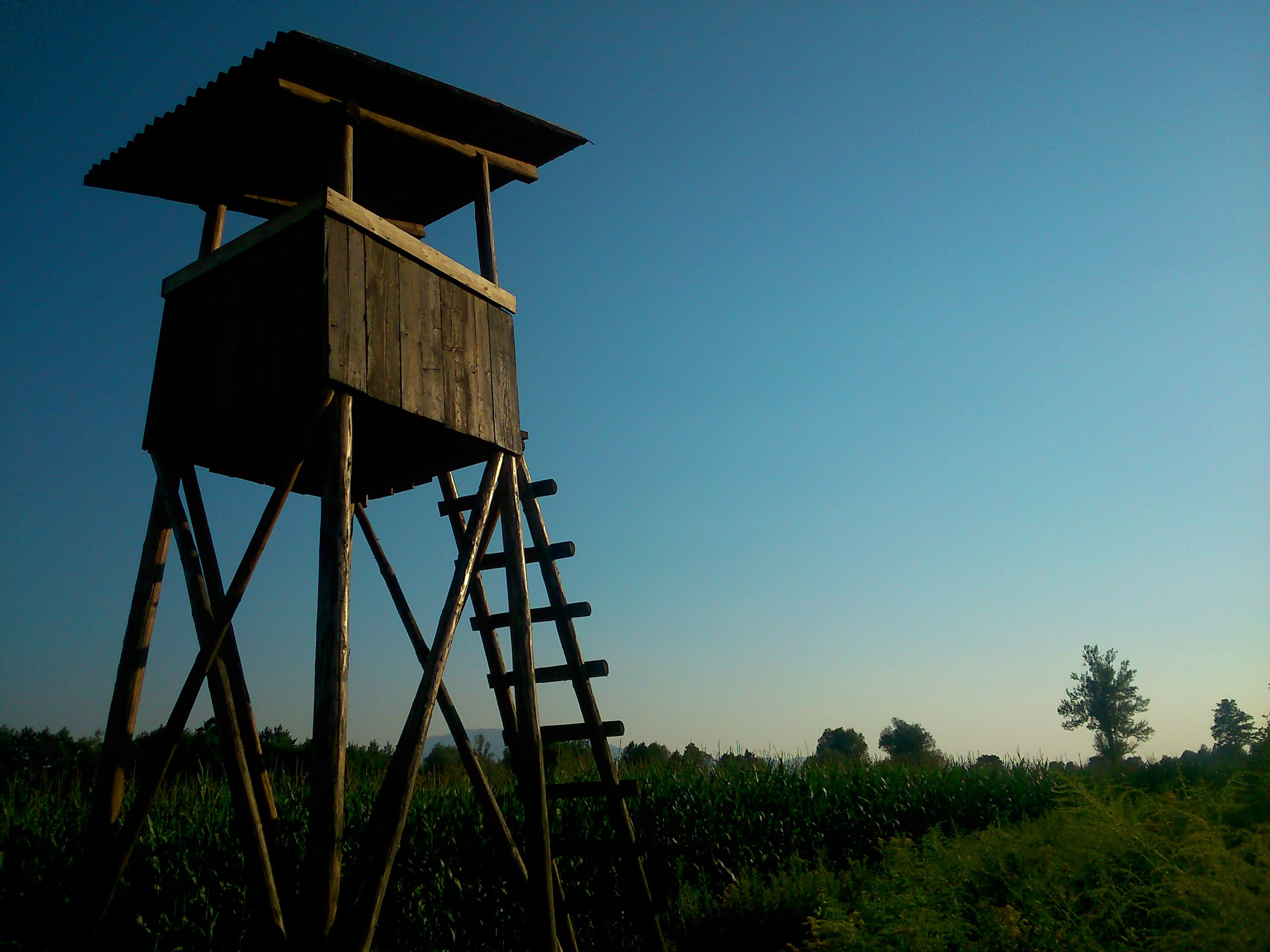 no people, plant, environment, tower, observation point, Nature, outdoors, built structure, Hunting, water tower - storage tank, water conservation, tree, HD Wallpaper