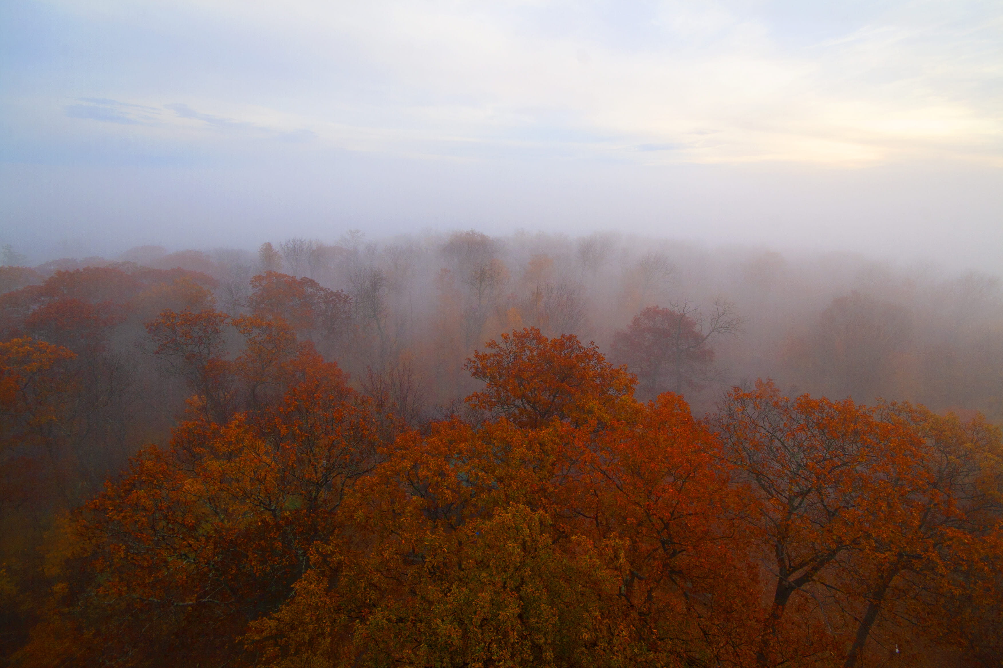 dwight, scenics - nature, 2K, autumn collection, day, plant, fog, land, nature, tree, sky, beauty in nature, canada, non-urban scene, dorset lookout tower, HD Wallpaper